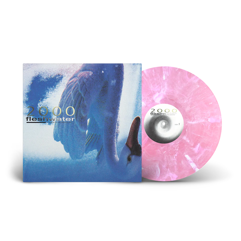 2000: In Search of the Endless Sky - Image 2