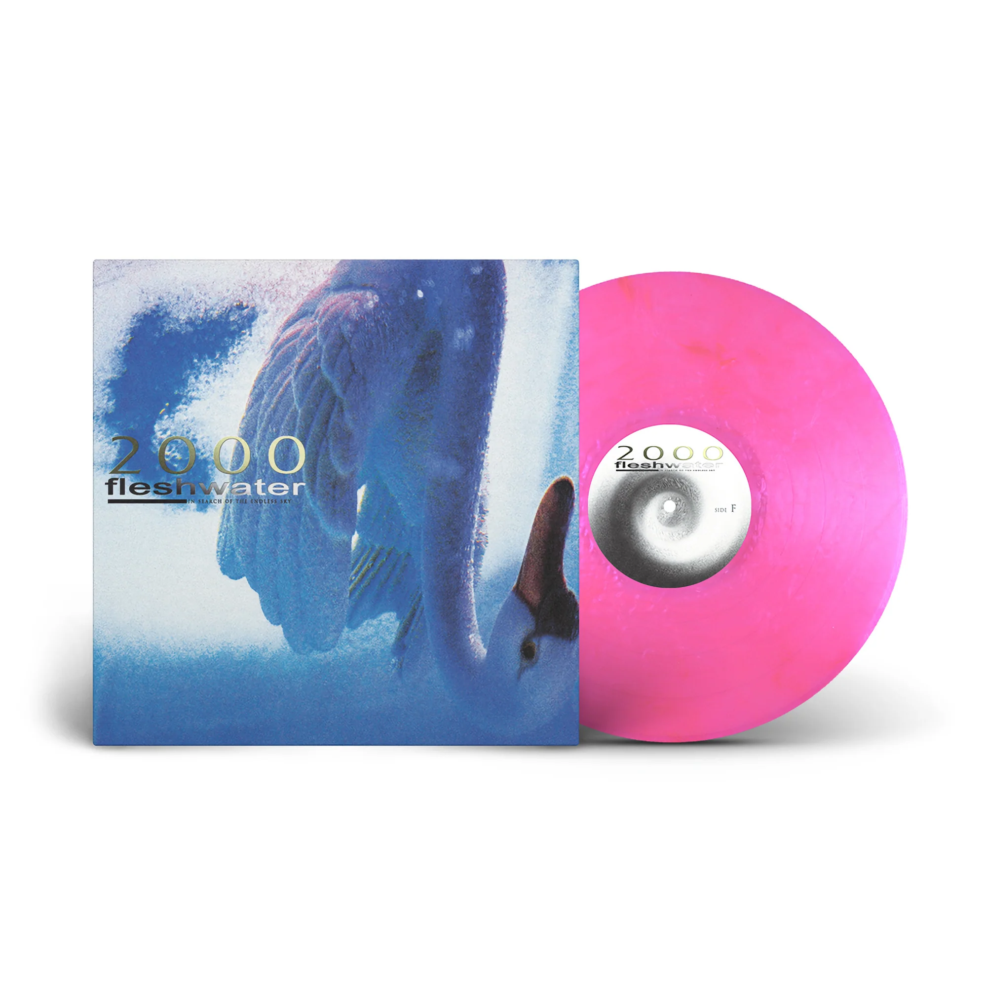 2000: In Search of the Endless Sky - Image 3