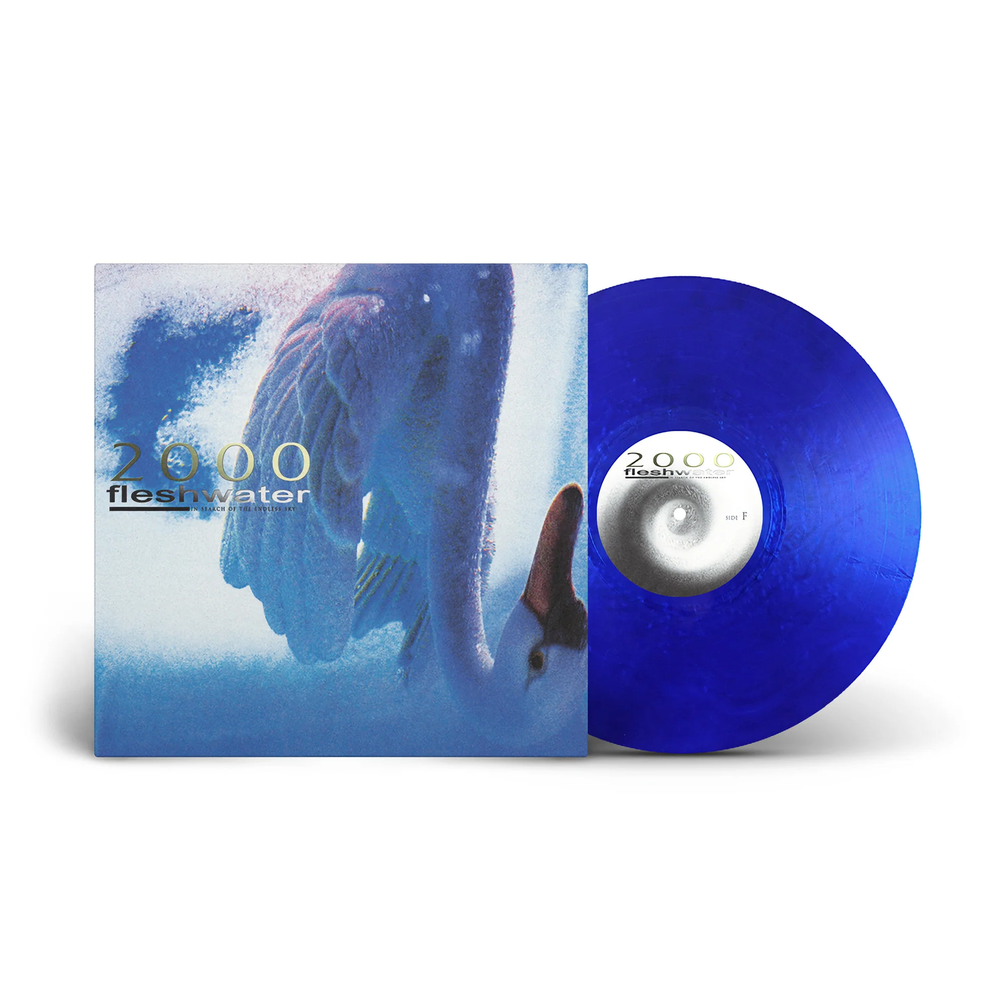 2000: In Search of the Endless Sky - Image 4