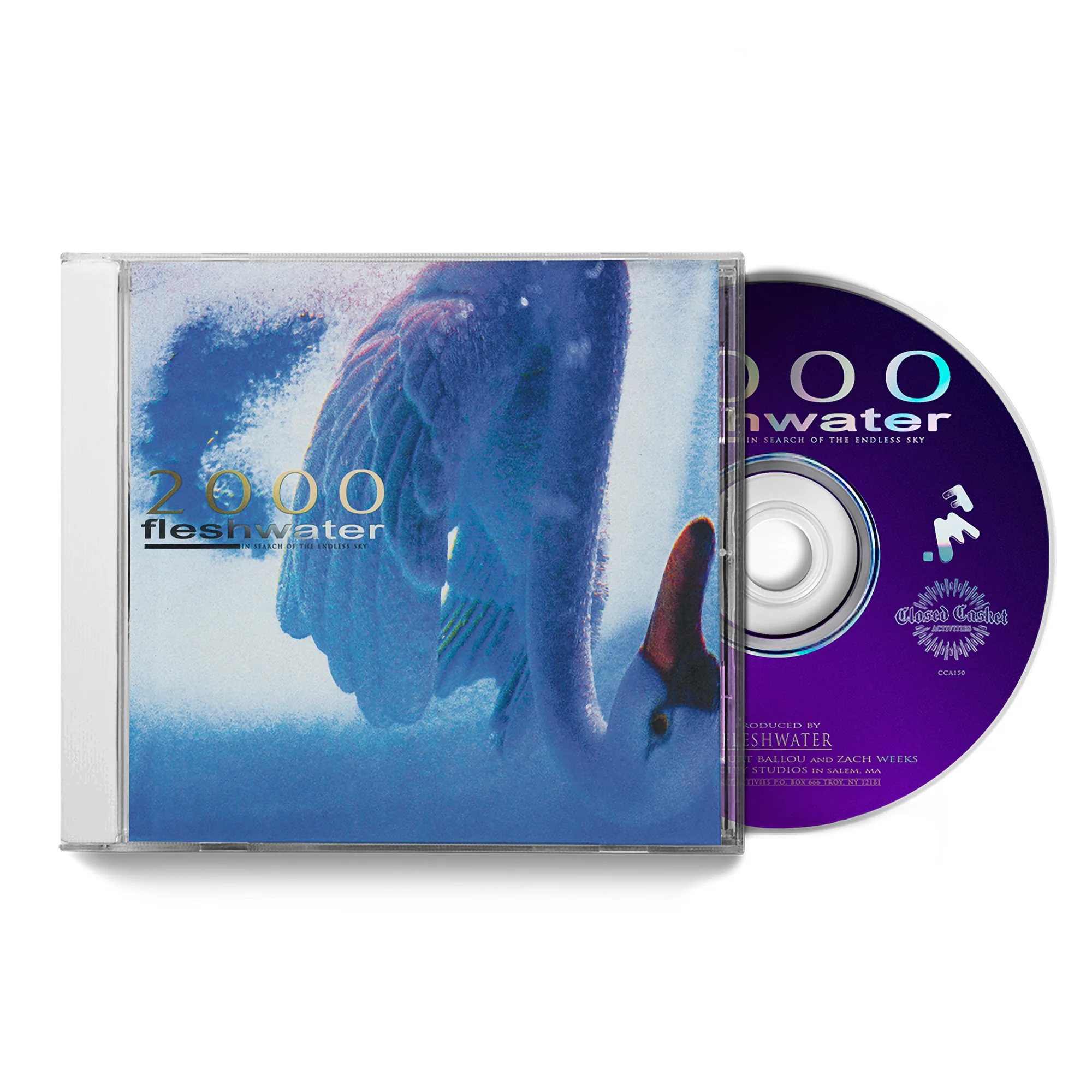 2000: In Search of the Endless Sky - Image 5