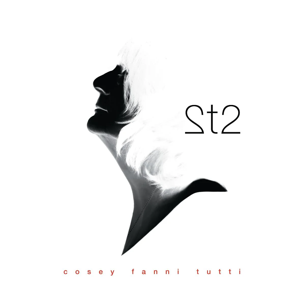 2t2 - Image 6