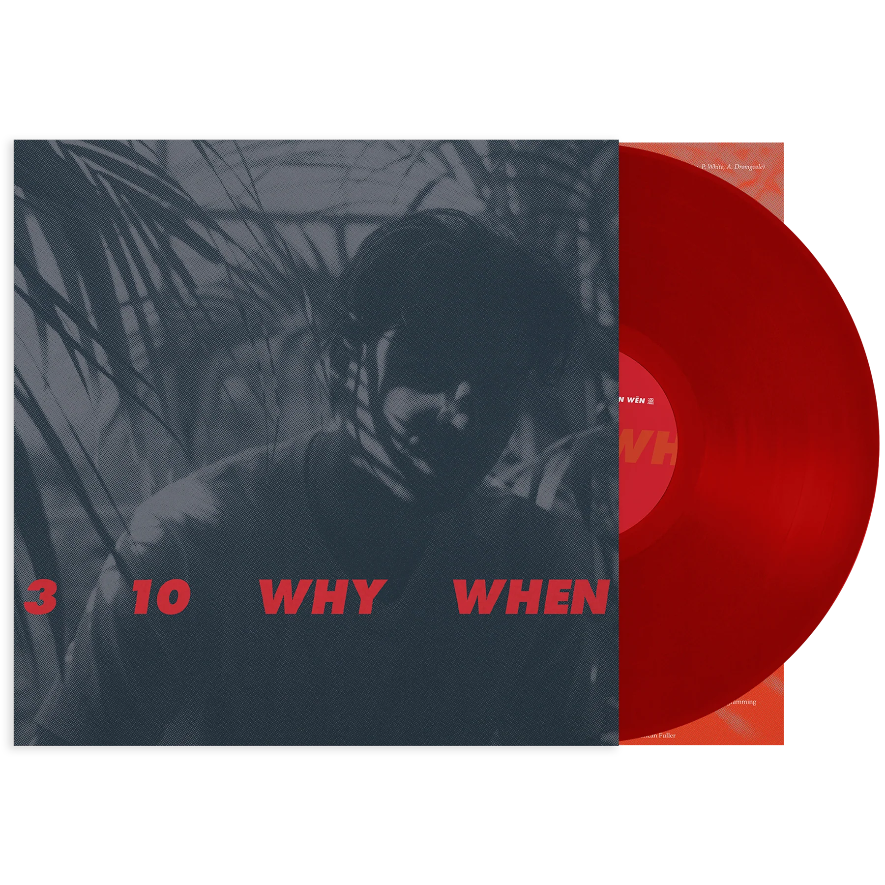3, 10, Why, When - Image 5