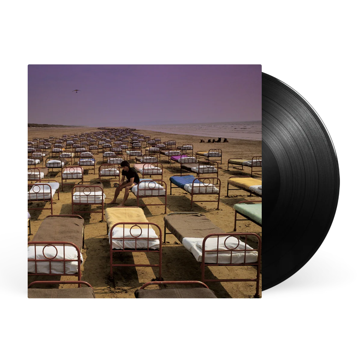 A Momentary Lapse of Reason - Image 2