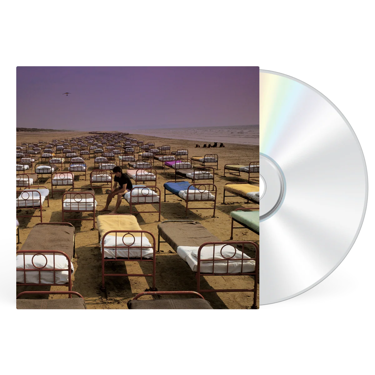 A Momentary Lapse of Reason - Image 3