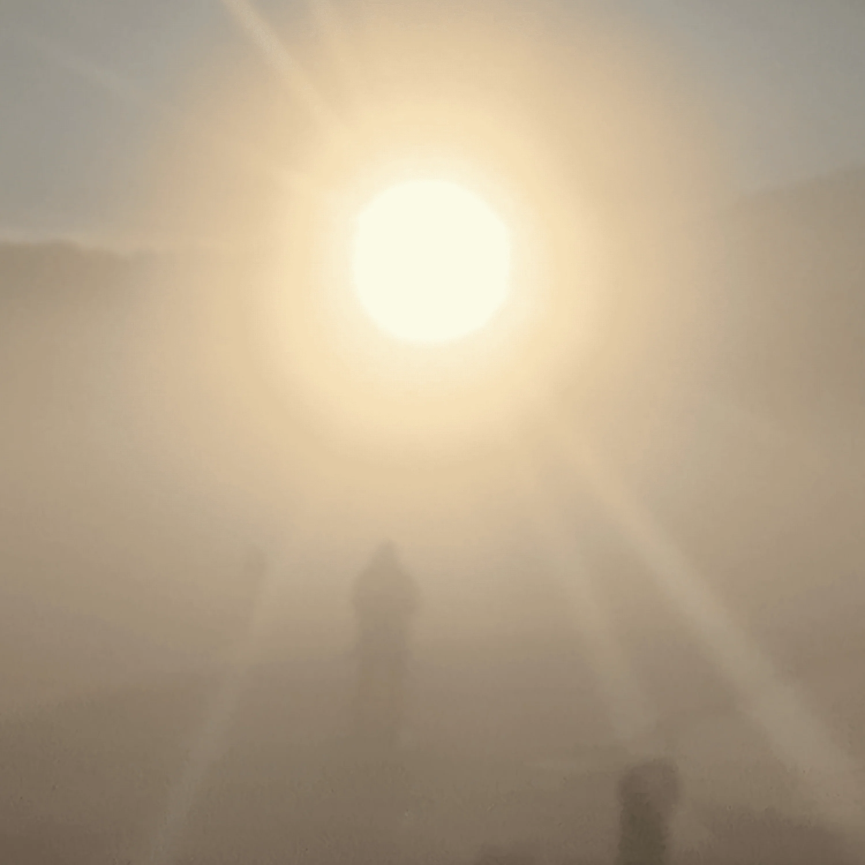 A New Life