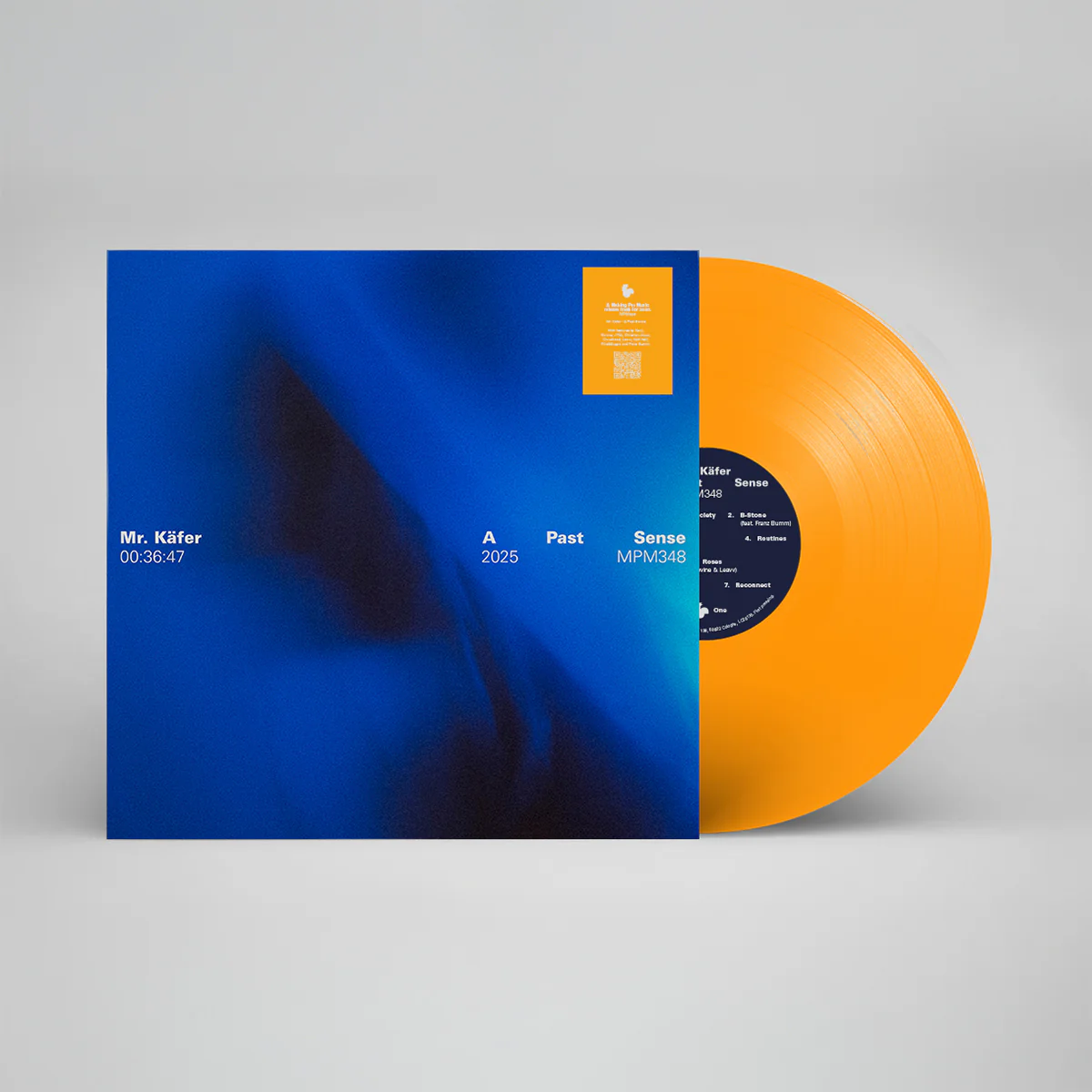 A Past Sense - Image 2