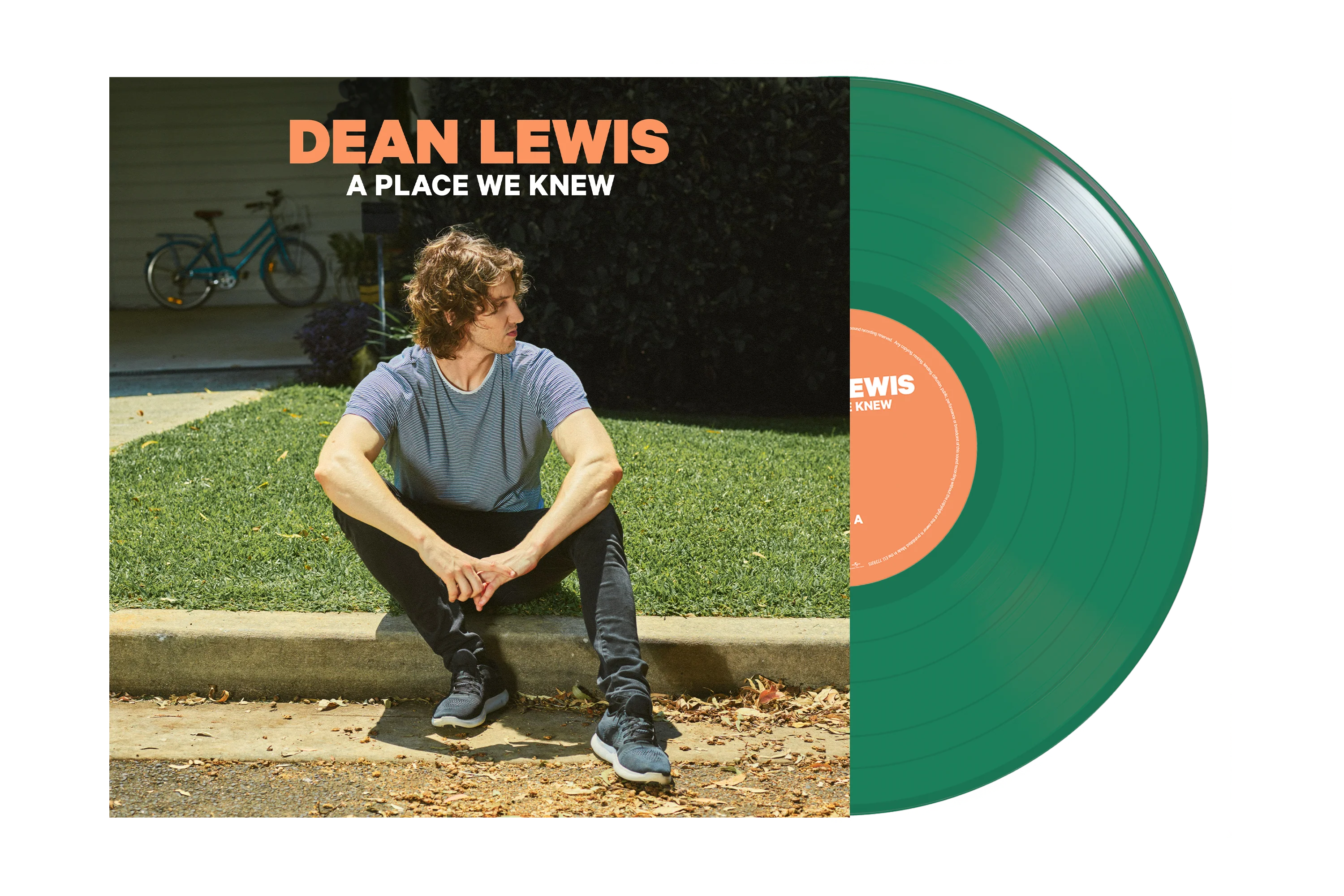 A Place We Knew - 5th Anniversary Reissue - Image 2