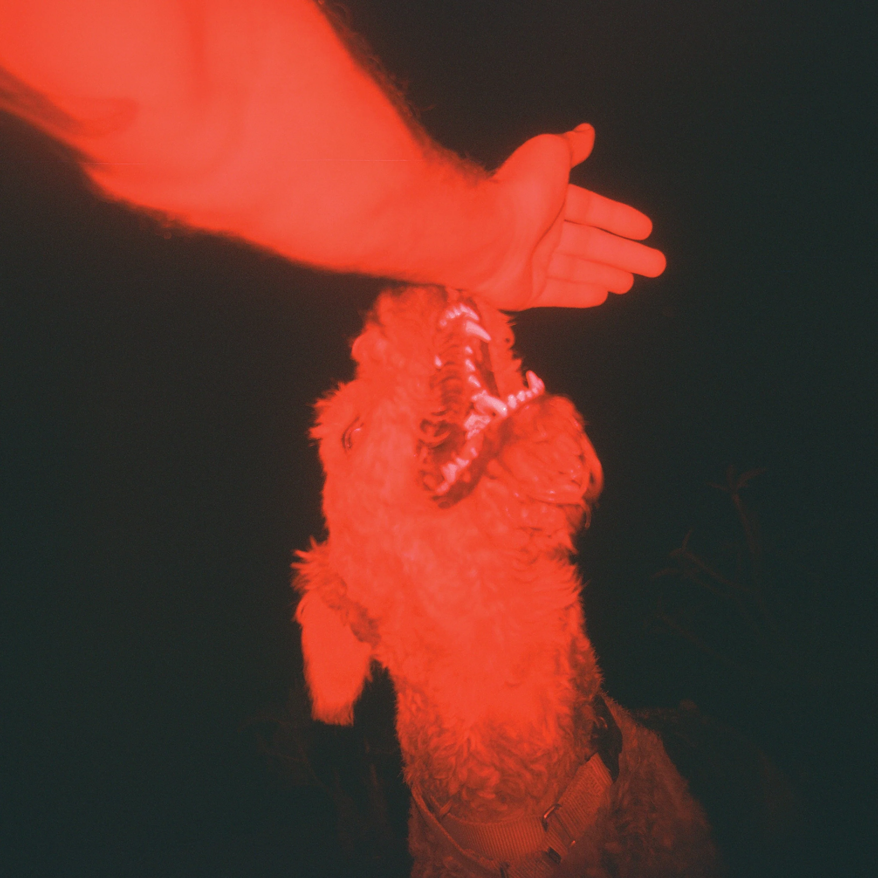 A Trick of the Light - Image 2