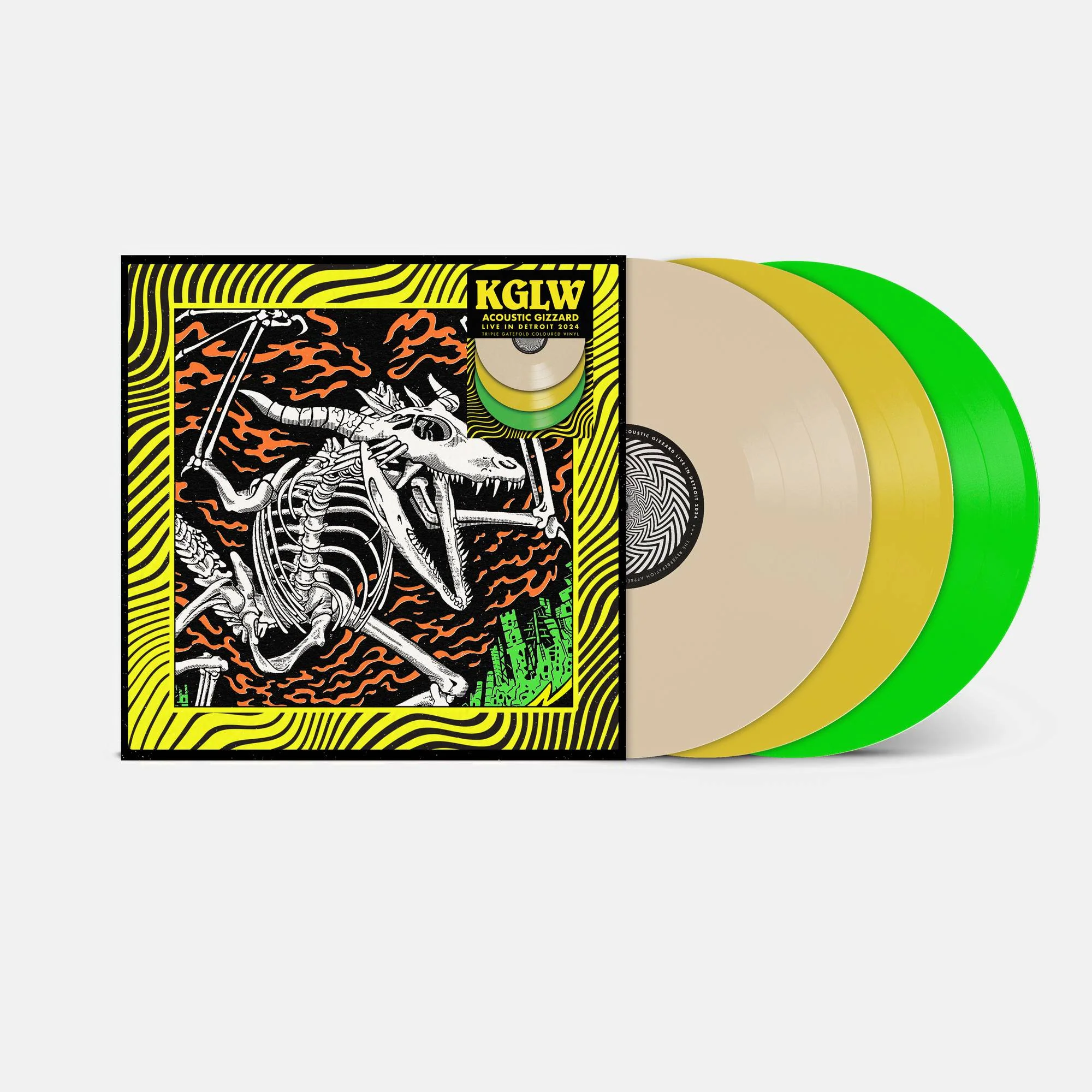 Acoustic Gizzard - Live in Detroit 2024 - Image 2