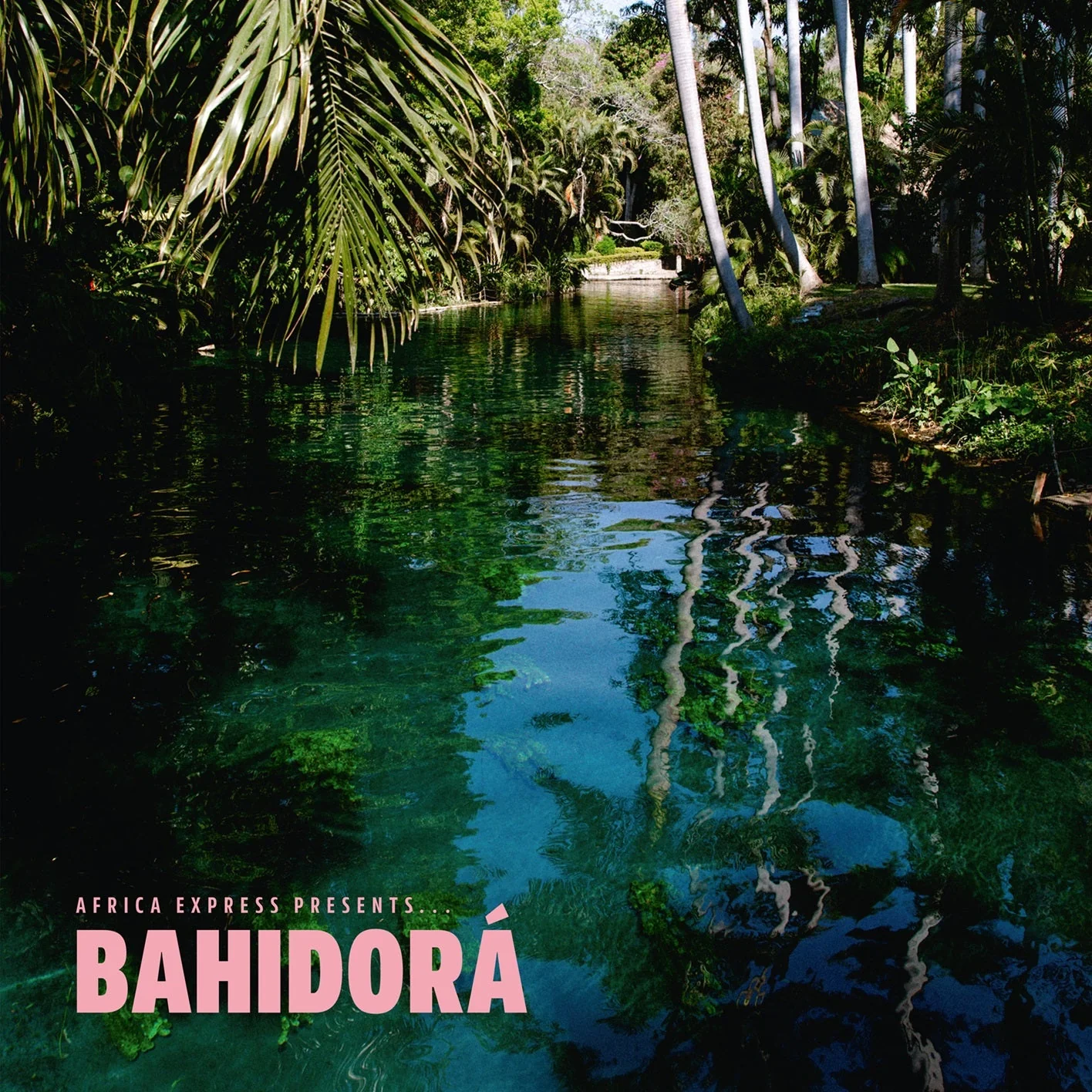 Africa Express Presents... Bahidora - Image 3