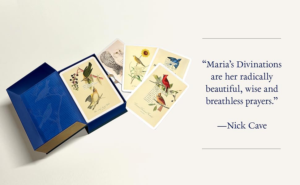 An Almanac of Birds: 100 Divinations for Uncertain Days - Image 2
