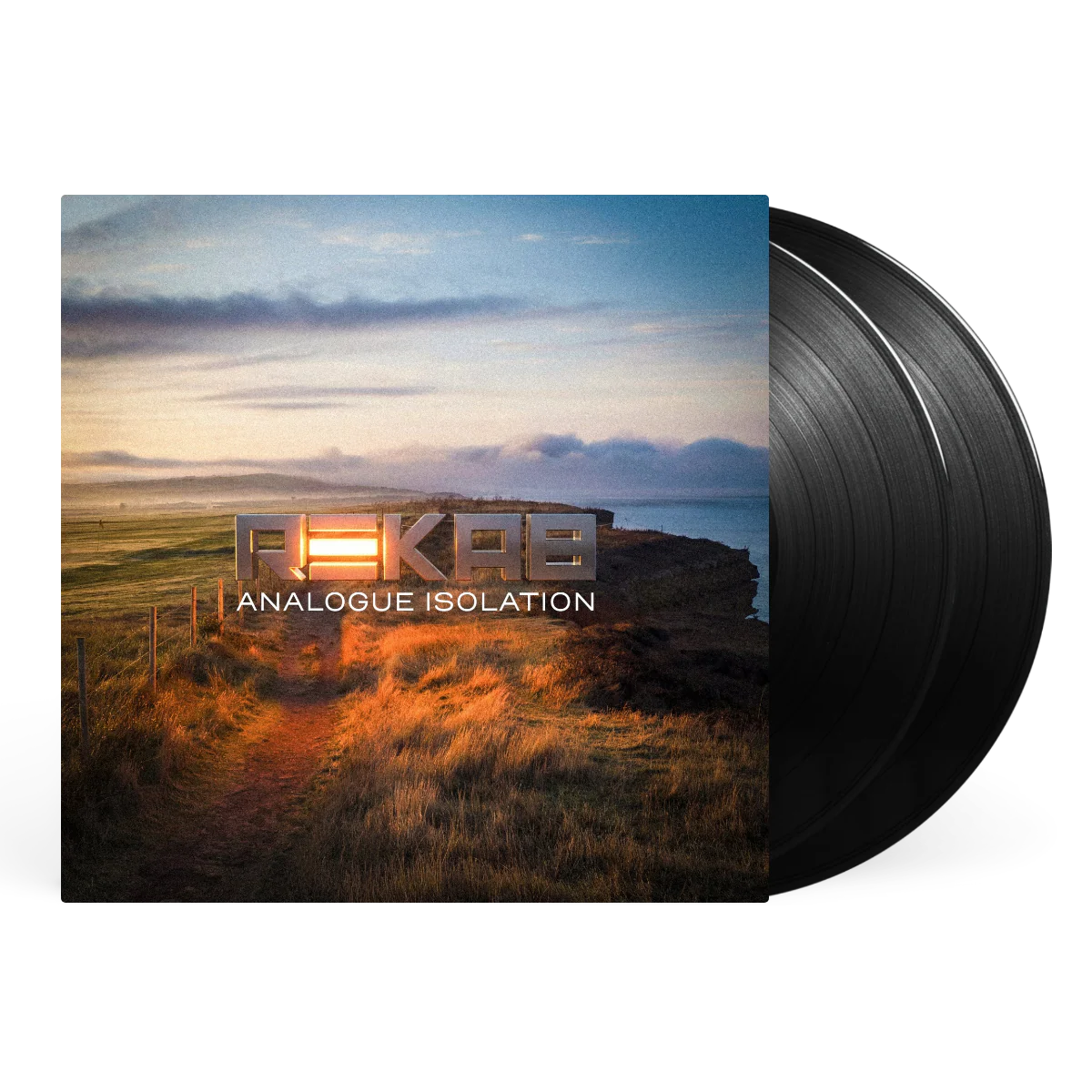 Analogue Isolation - Image 2
