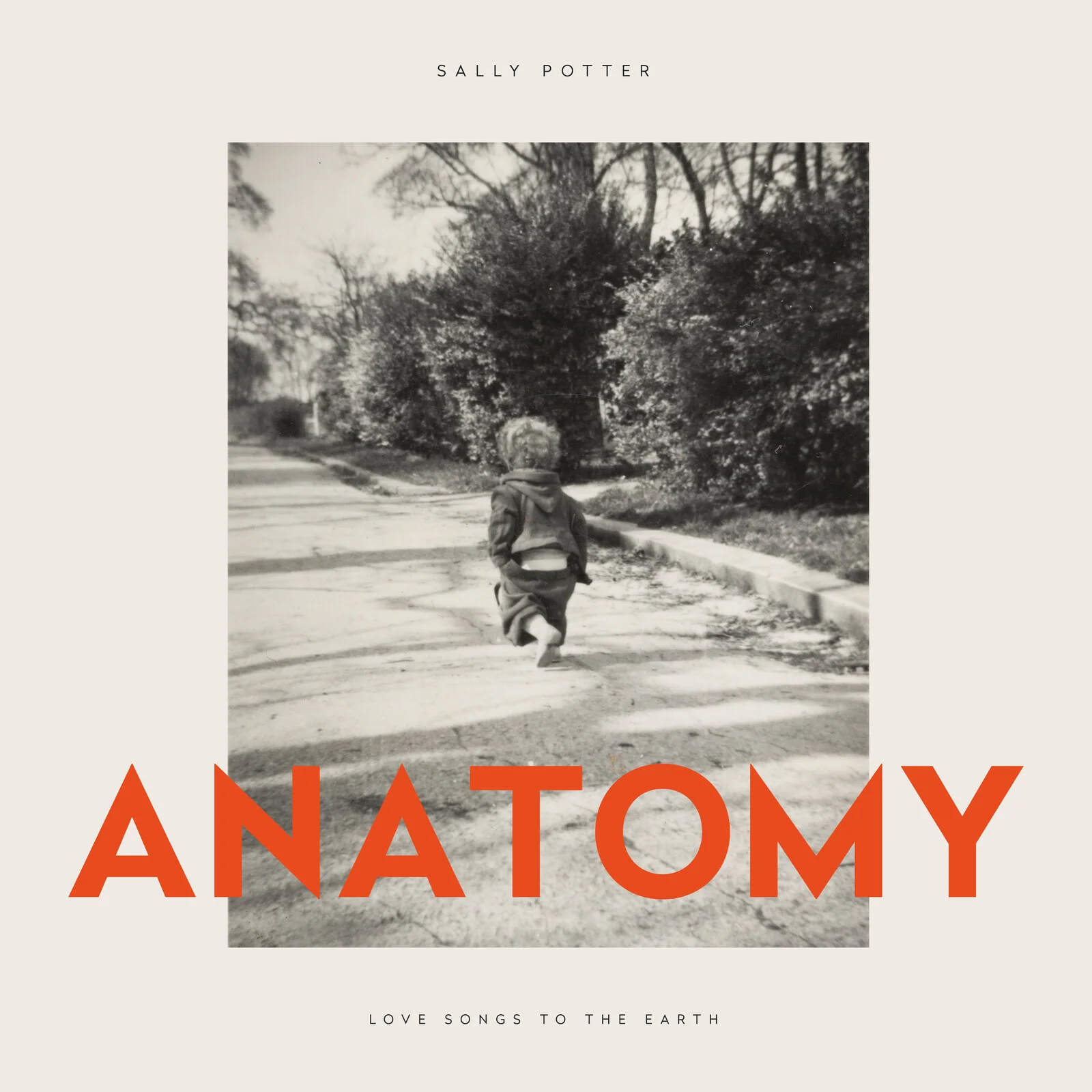 Anatomy - Image 3