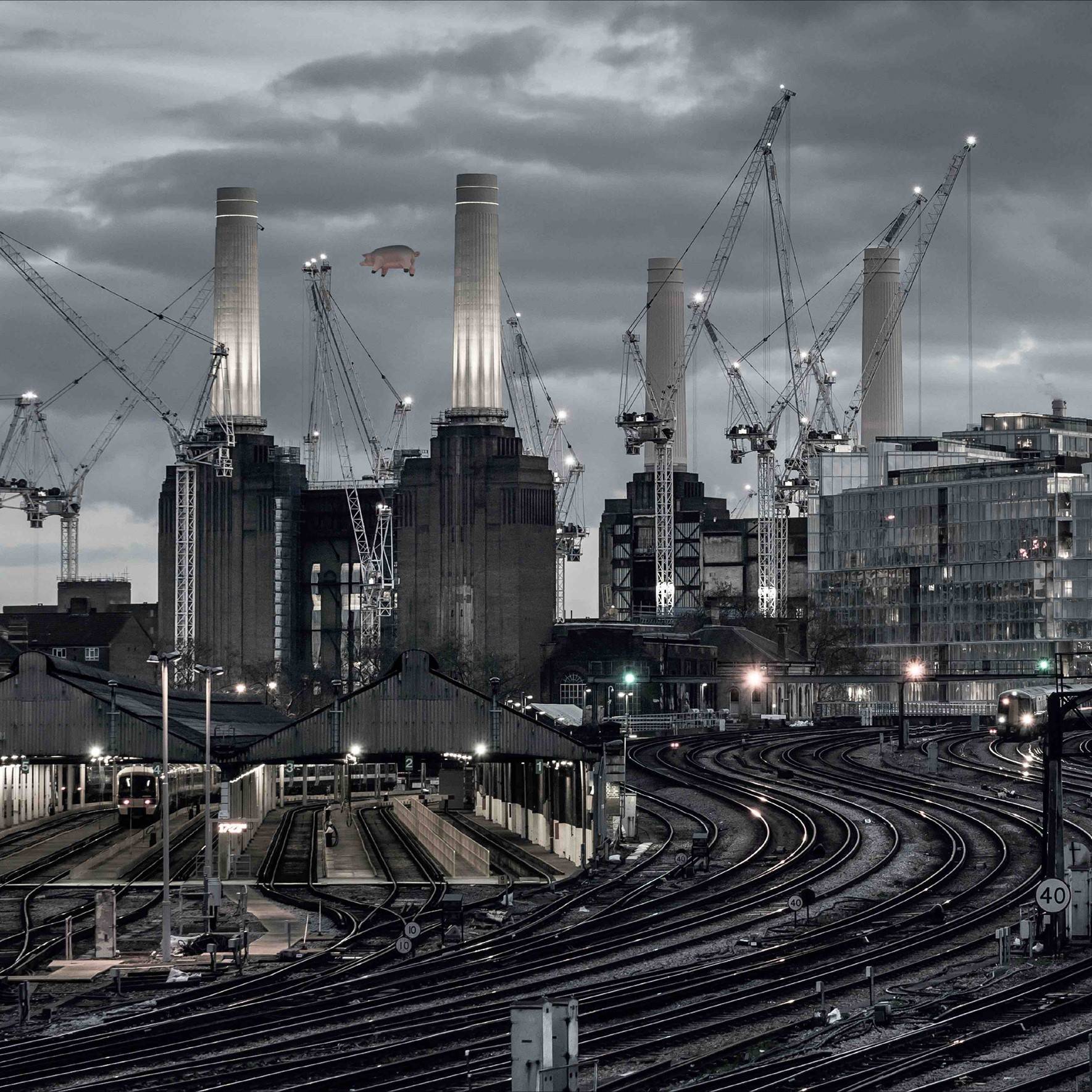 Animals (2018 Remix) - Image 6