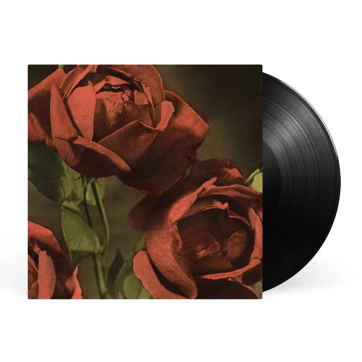 Another Country - Image 2