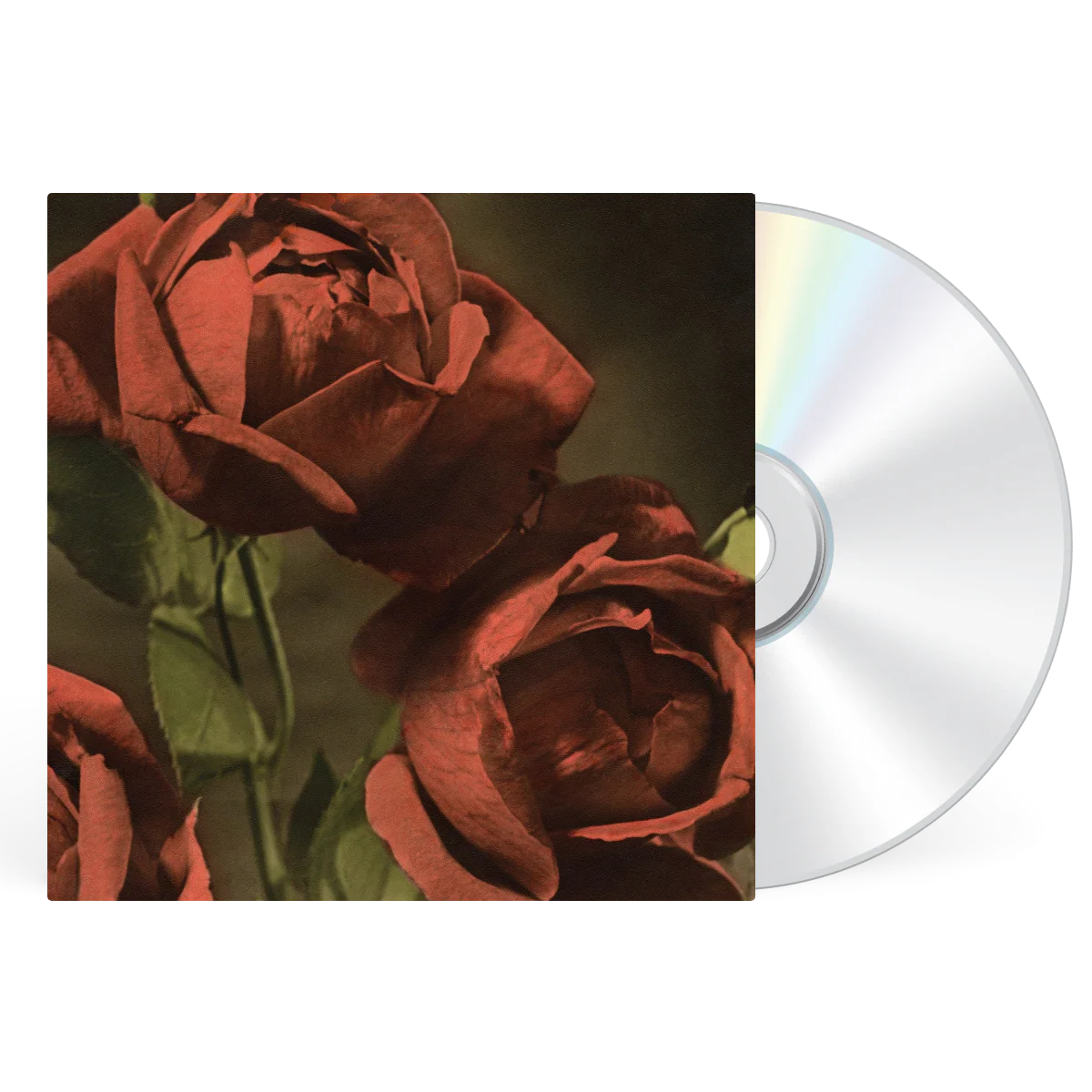 Another Country - Image 3