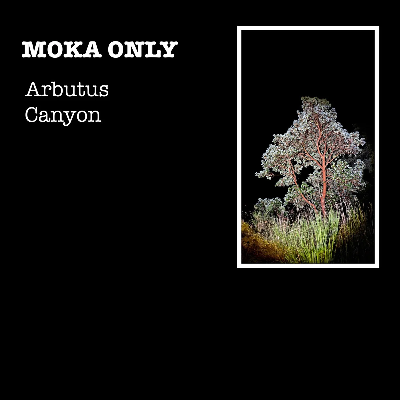 Arbutus Canyon