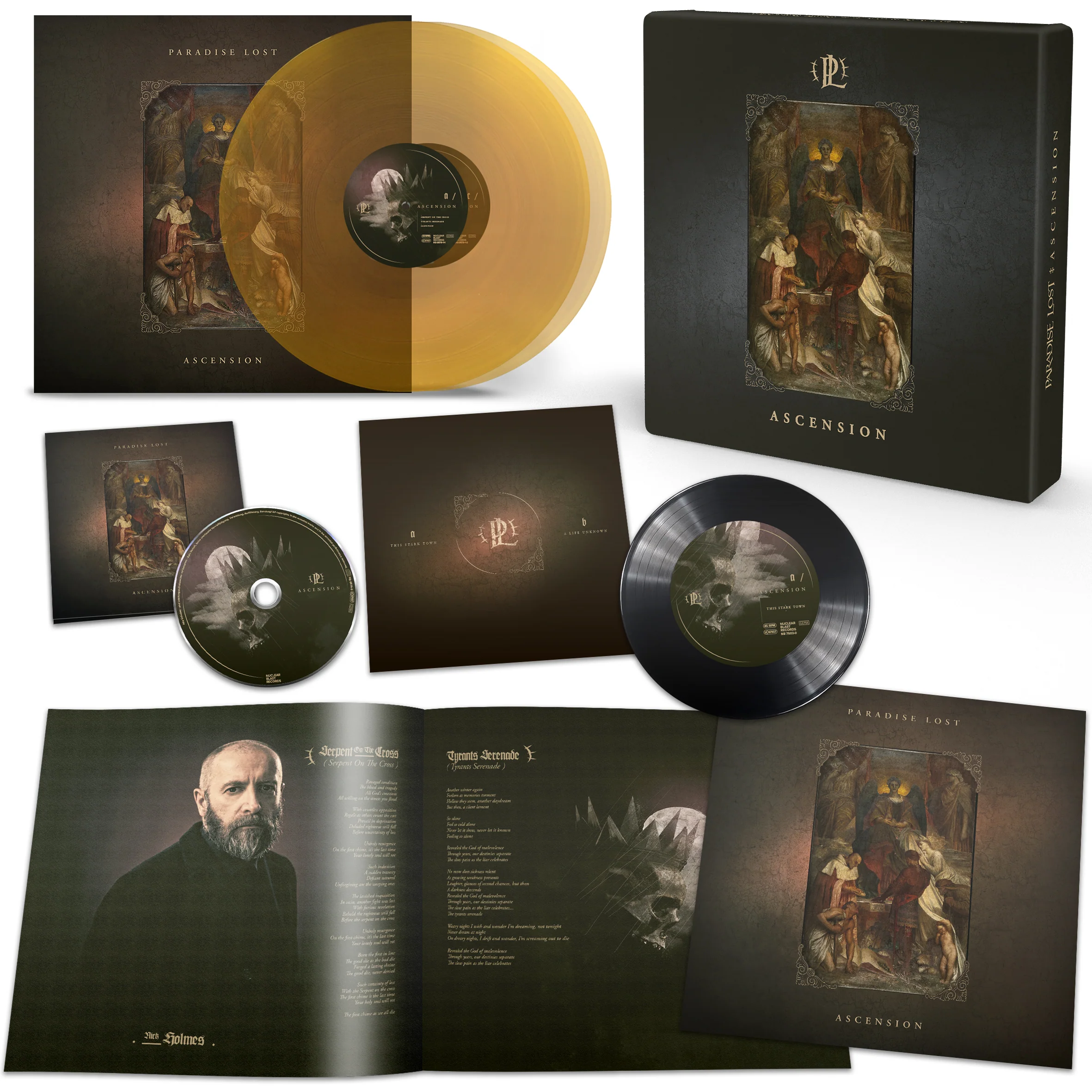 Ascension - Image 4