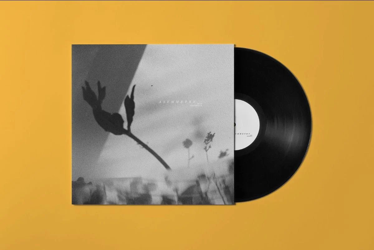Asymmetry - Image 2