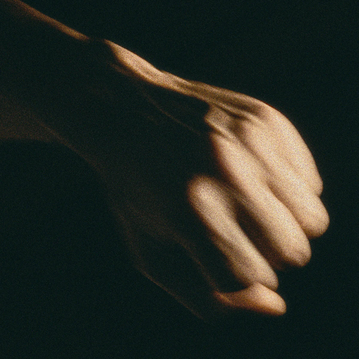 Bark / Bite - Image 2