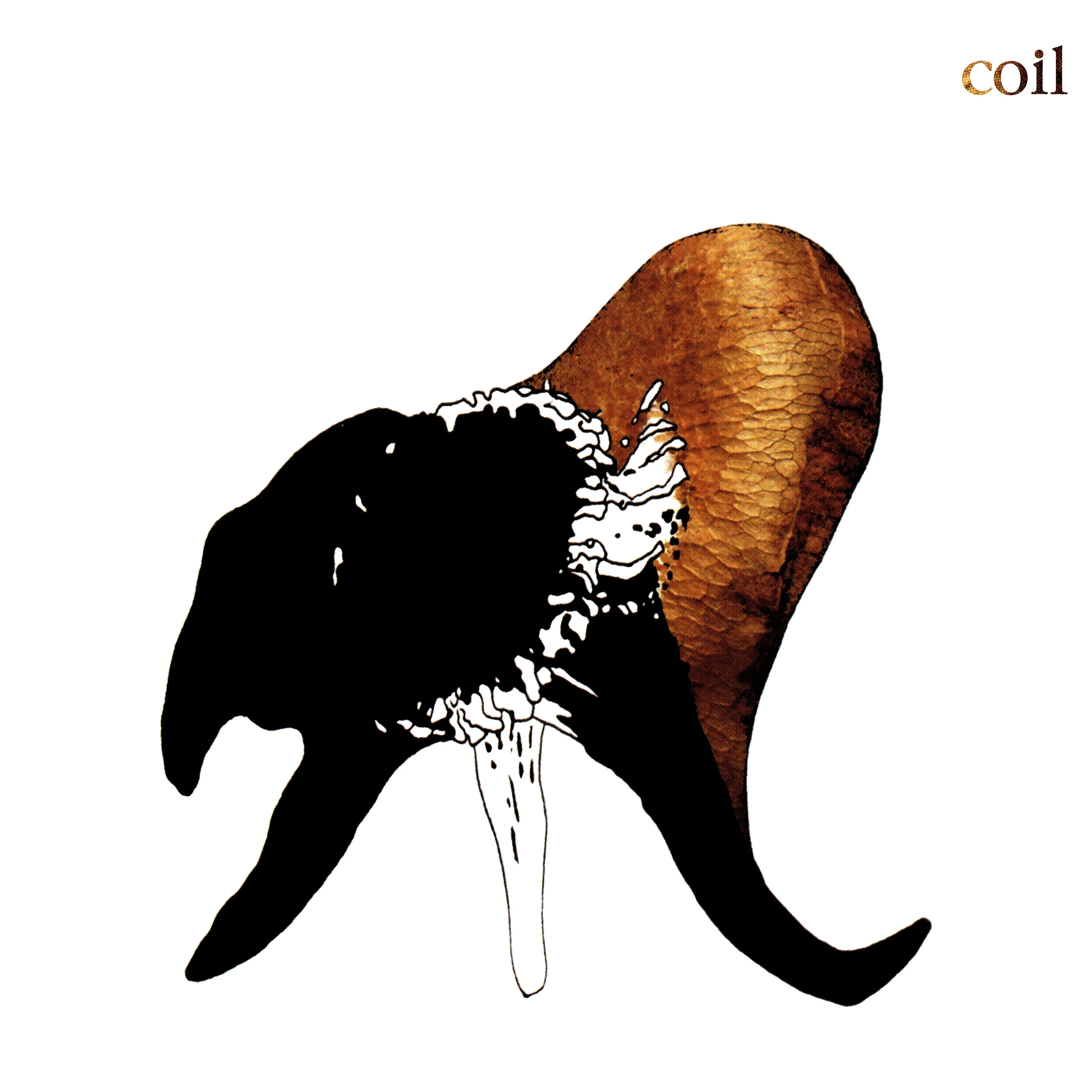 Black Antlers - Image 64