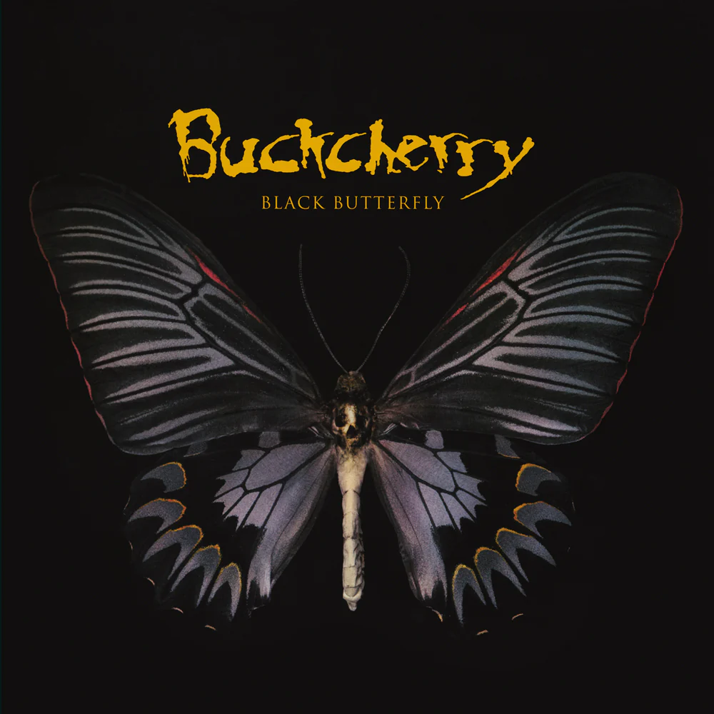 Black Butterfly