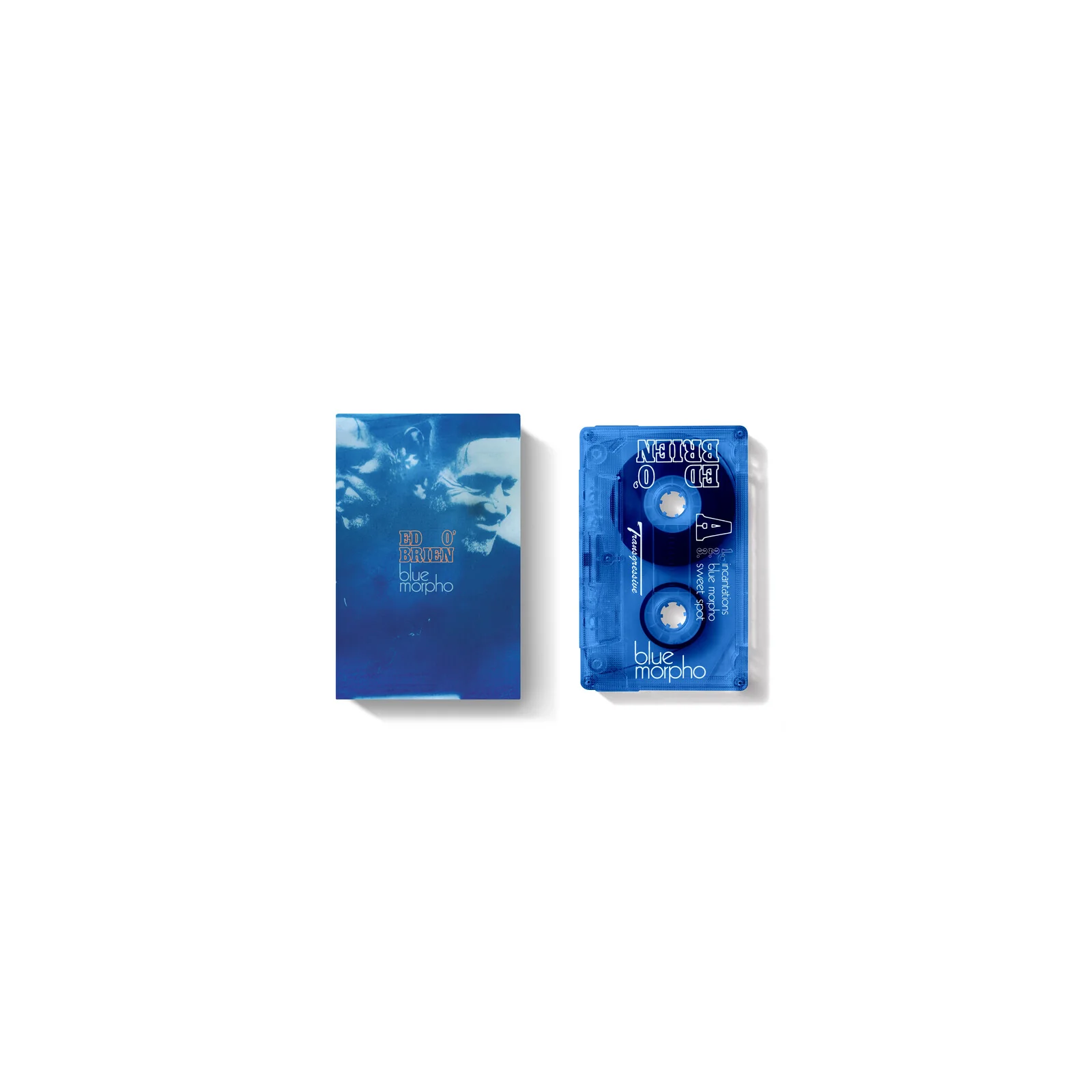 Blue Morpho - Image 3