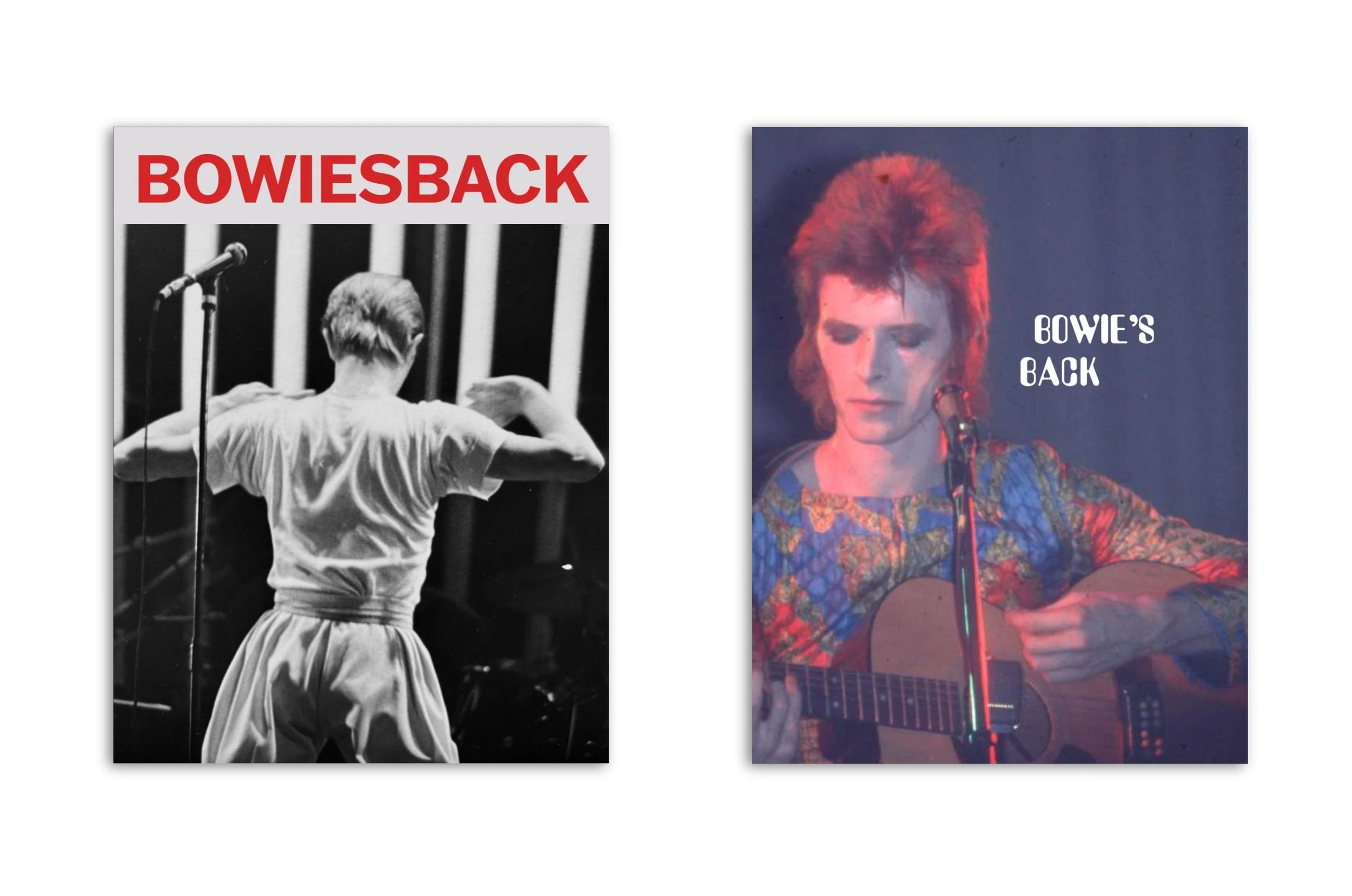 BOWIE’S BACK - Image 2