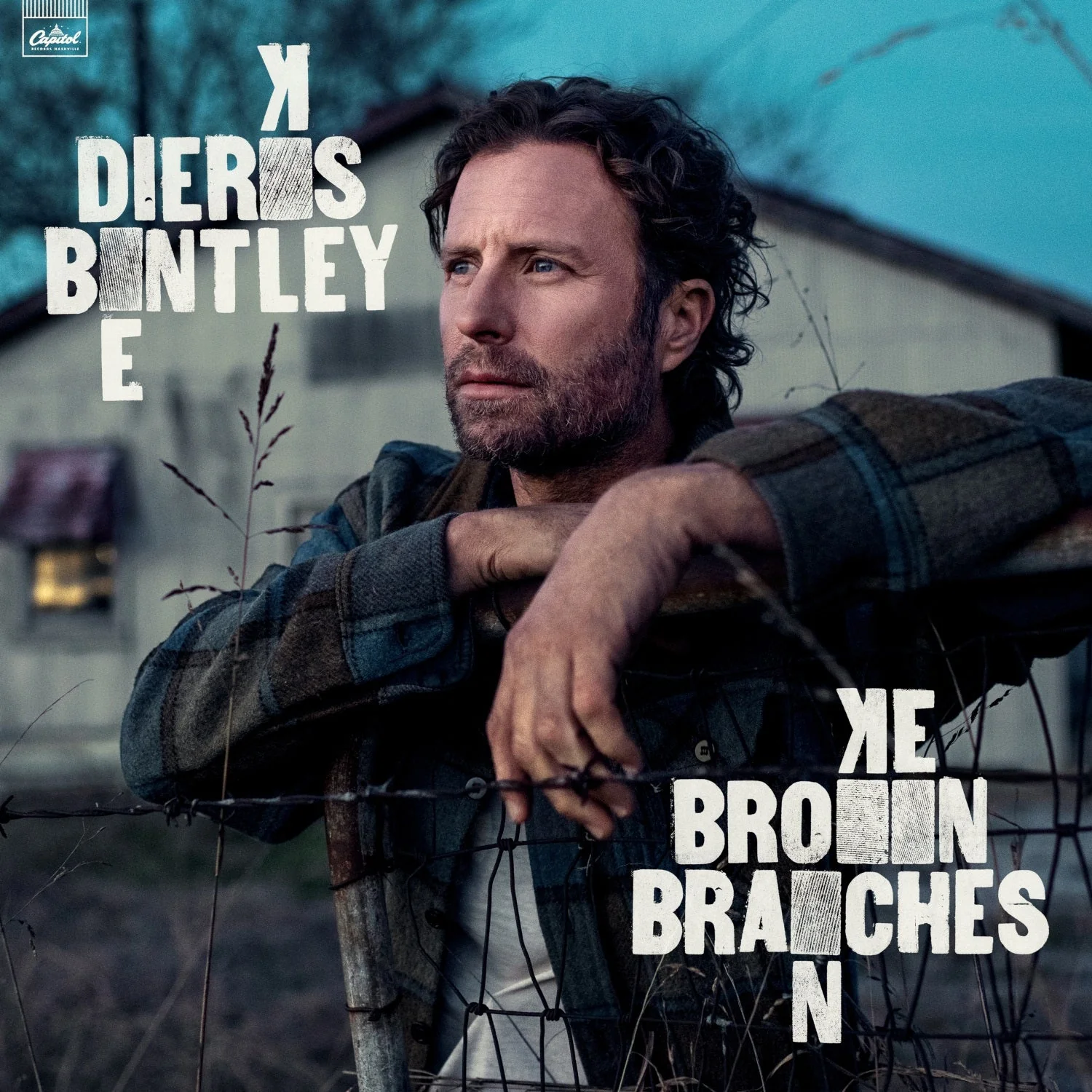 Broken Branches - Image 2