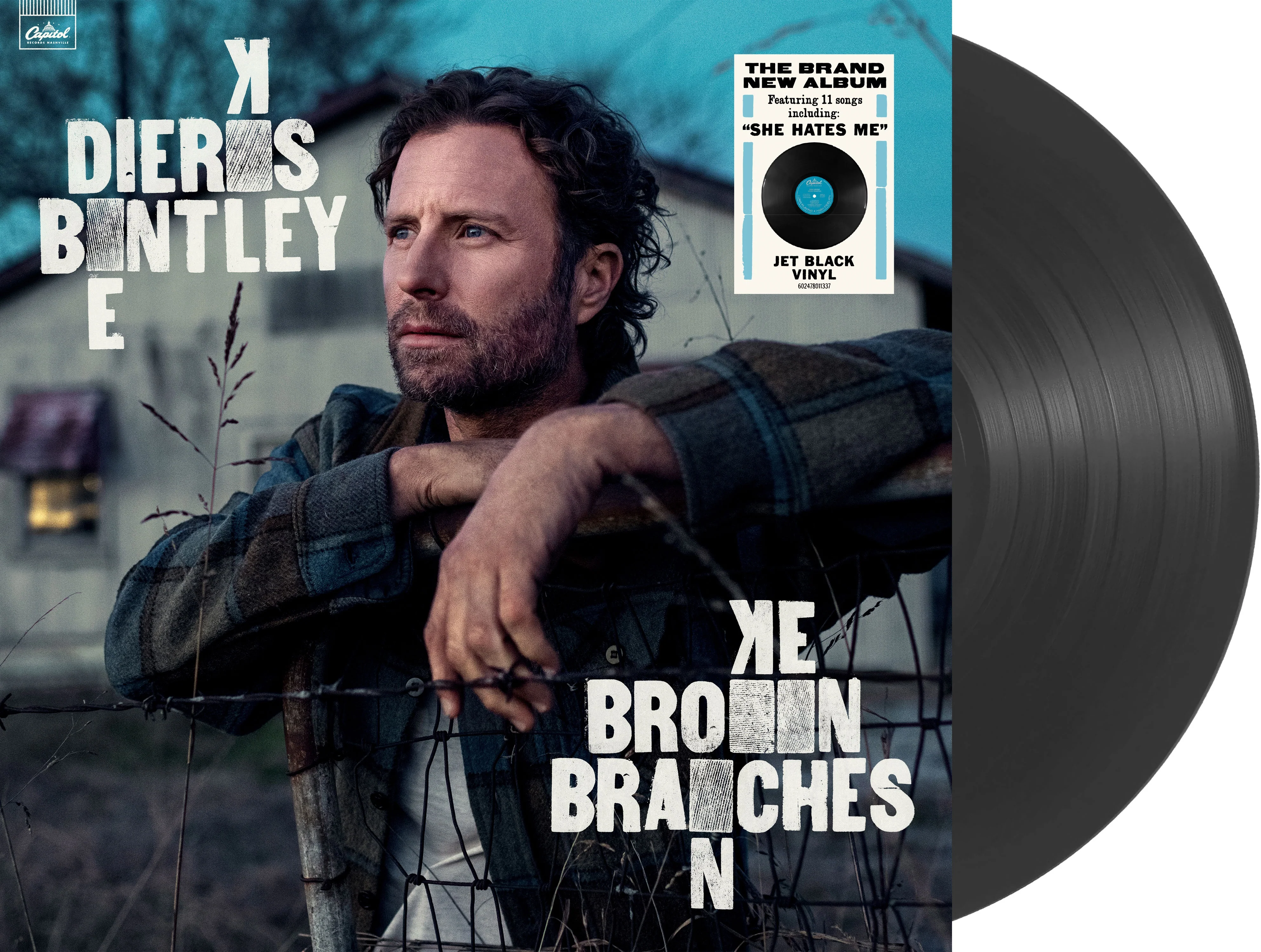 Broken Branches - Image 4