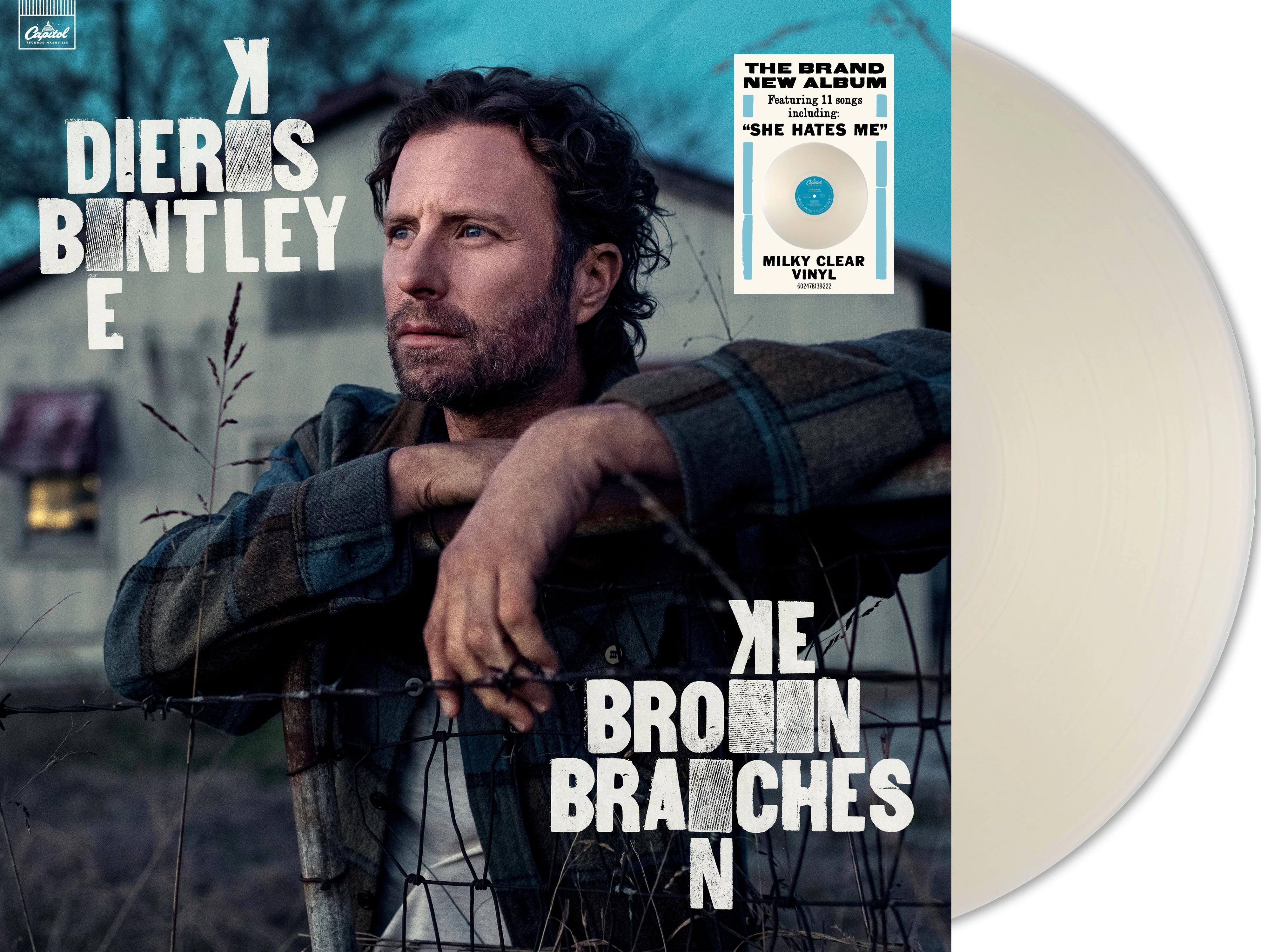 Broken Branches - Image 5