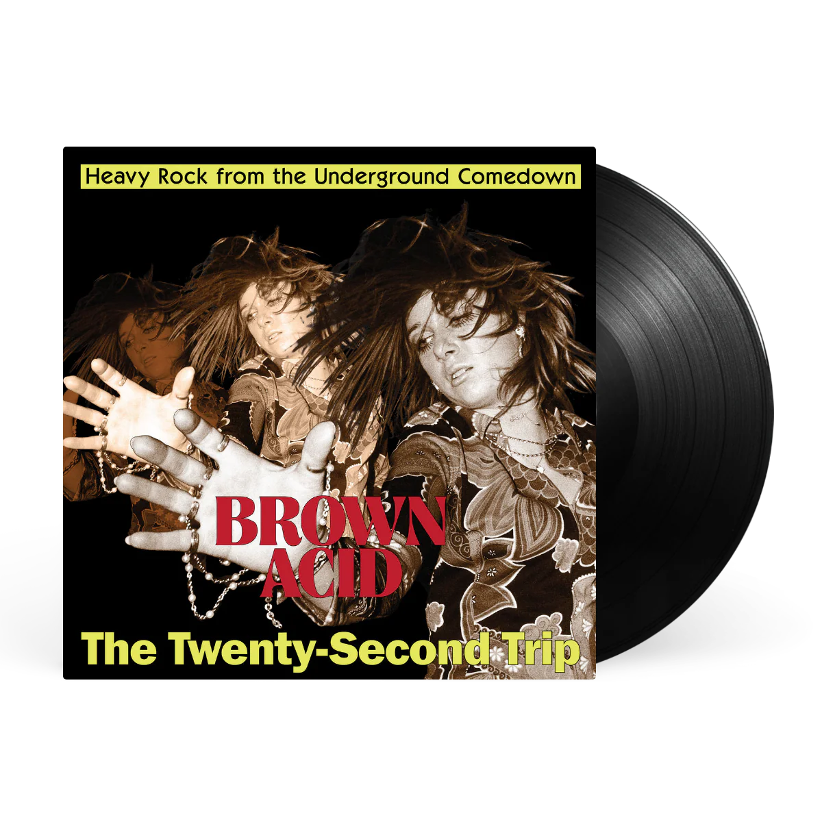 Brown Acid: The Twenty-Second Trip - Image 2