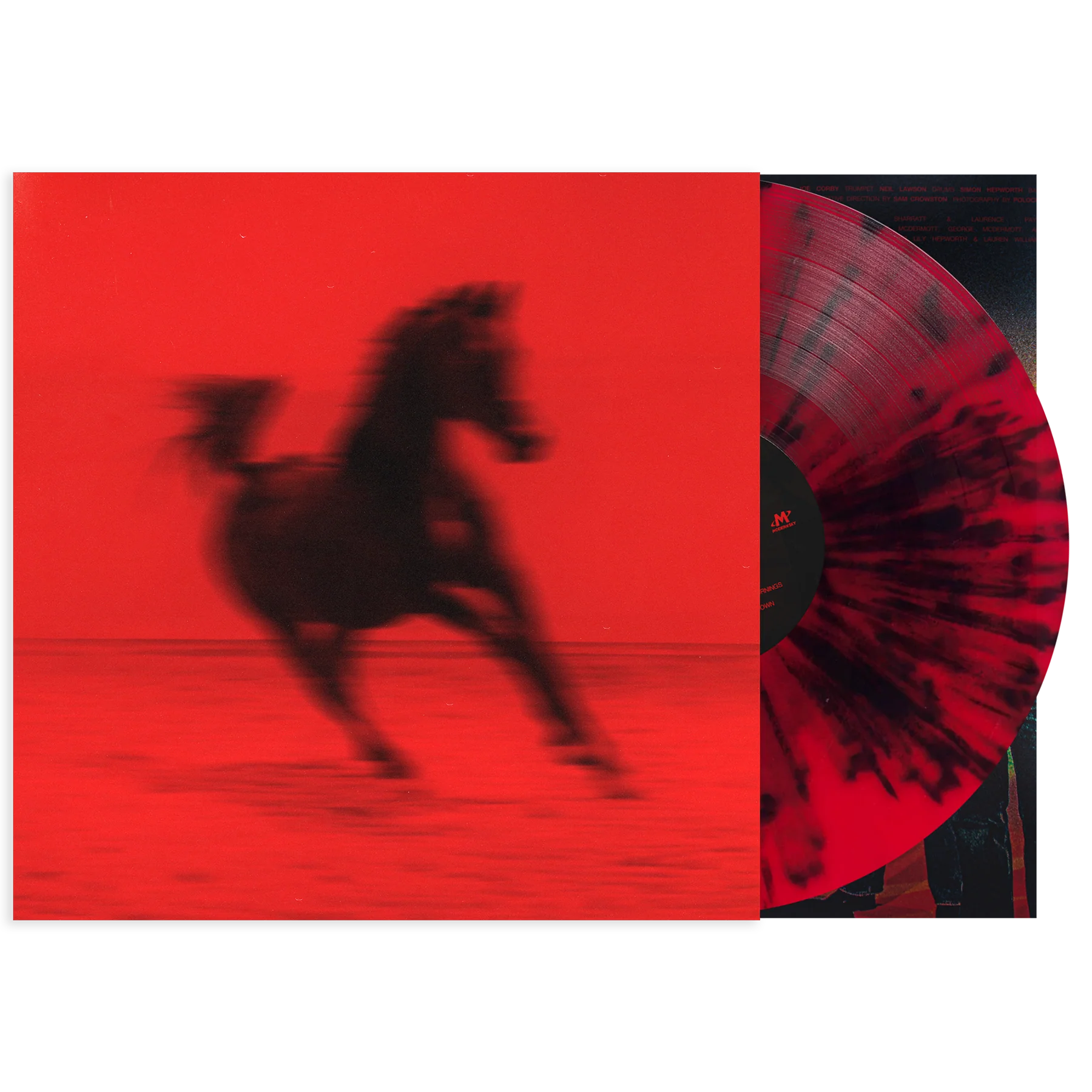 Buck - Image 5
