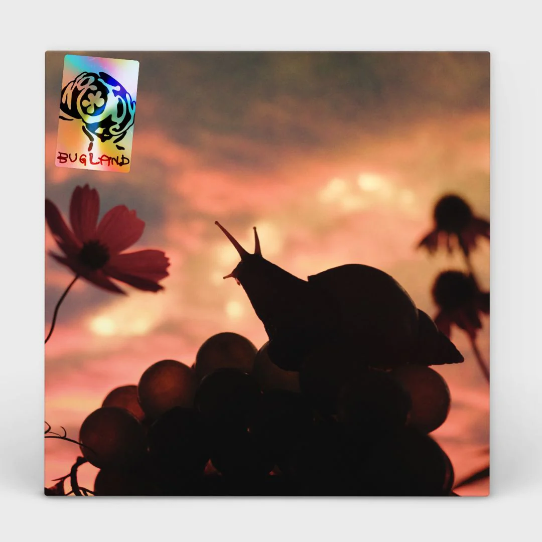 Bugland - Image 3