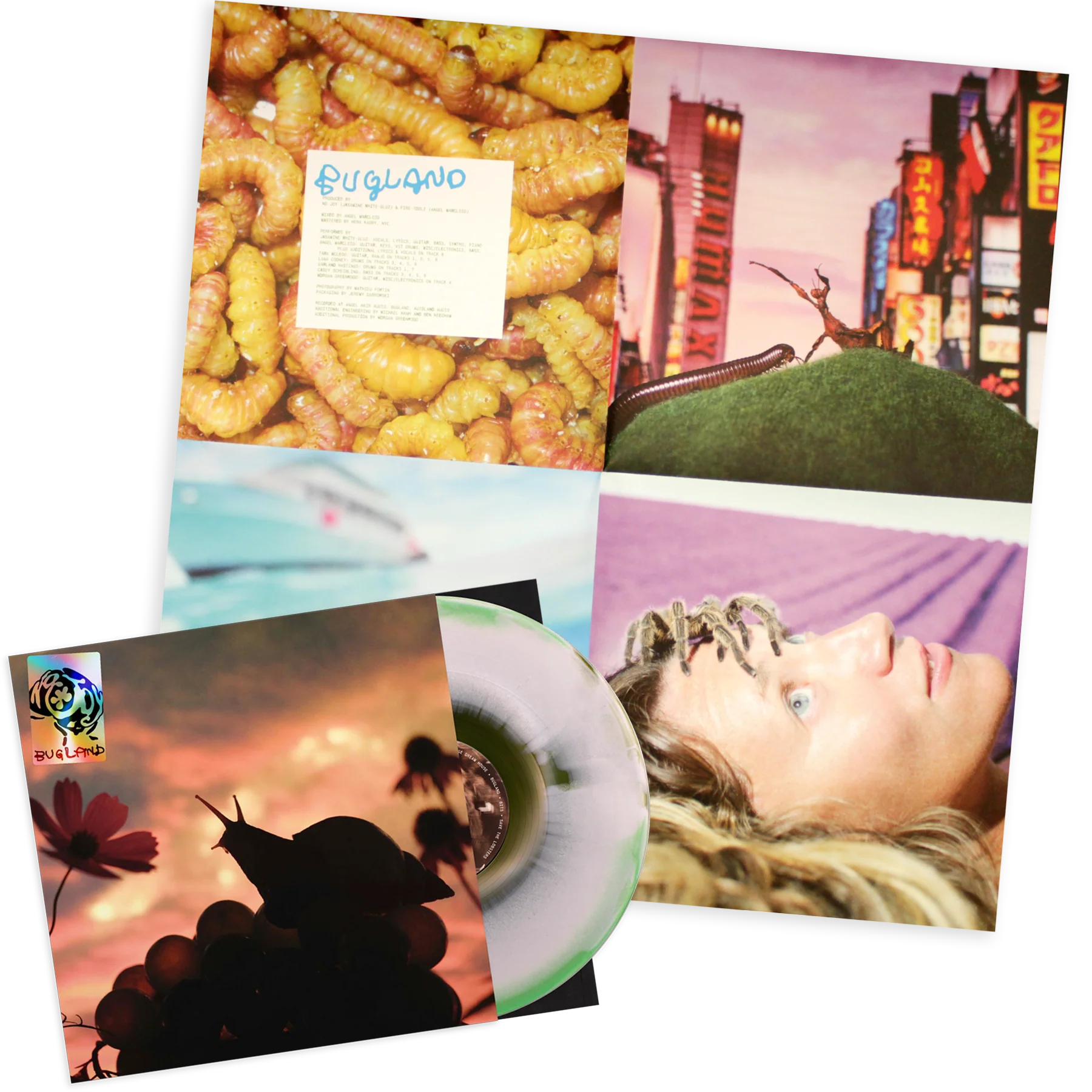 Bugland - Image 5