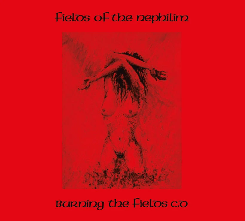 Burning The Fields - Image 2