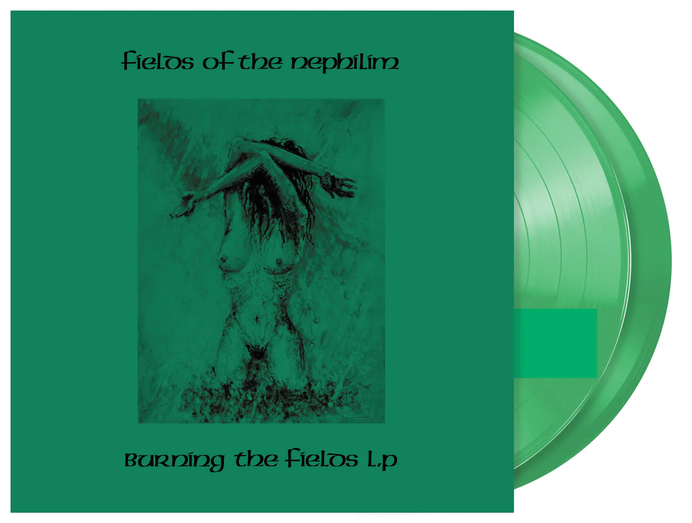 Burning The Fields - Image 3