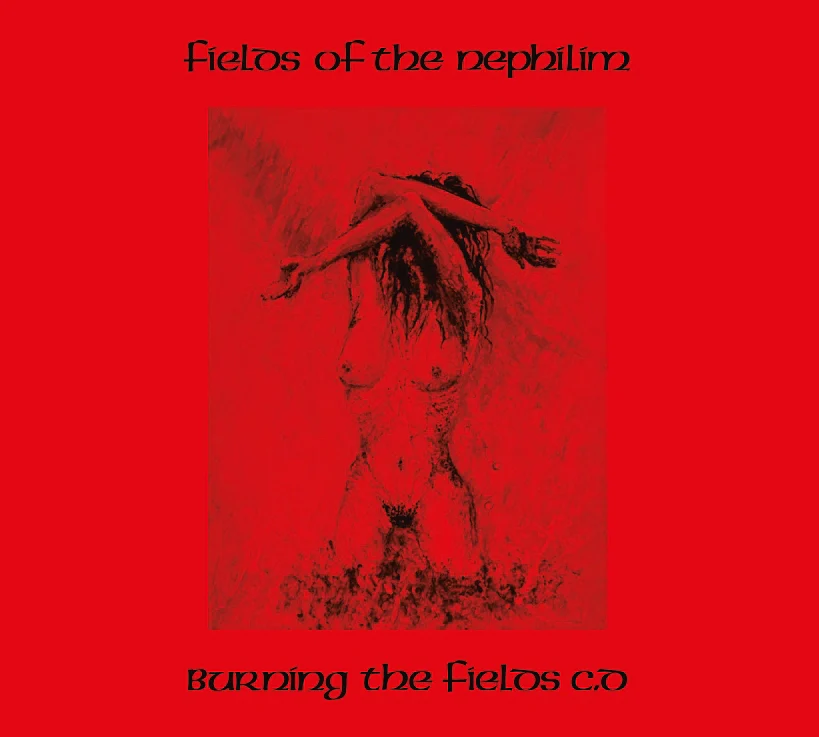 Burning The Fields - Image 4