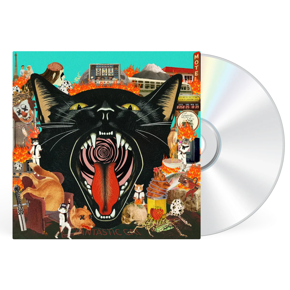 Cat Out of Hell - Image 3