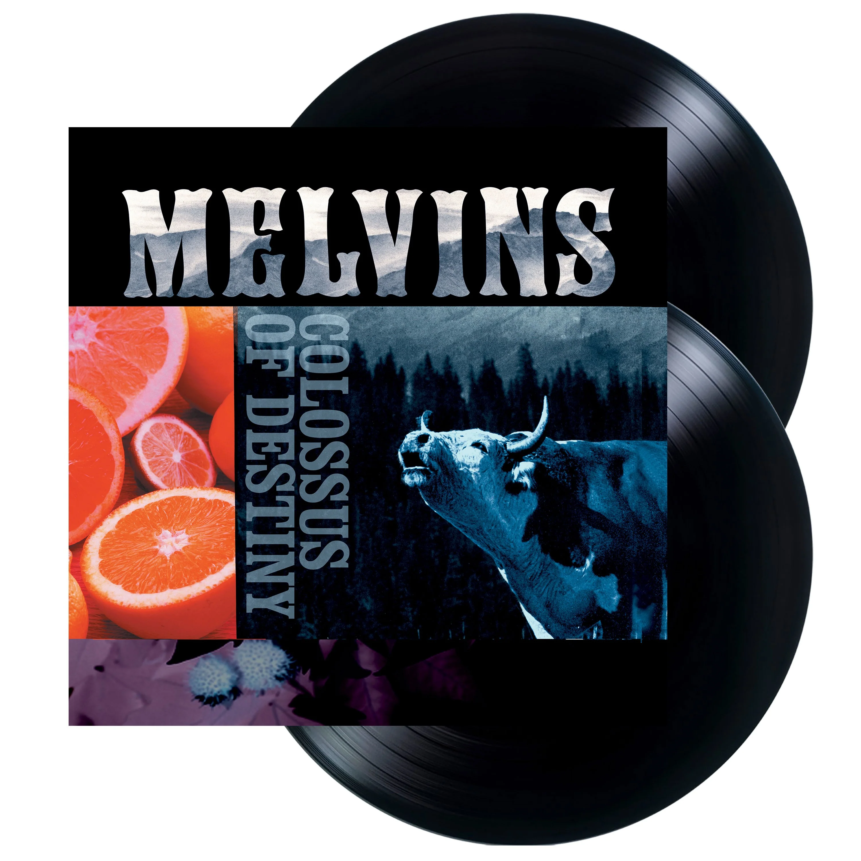 Colossus Of Destiny - Image 2