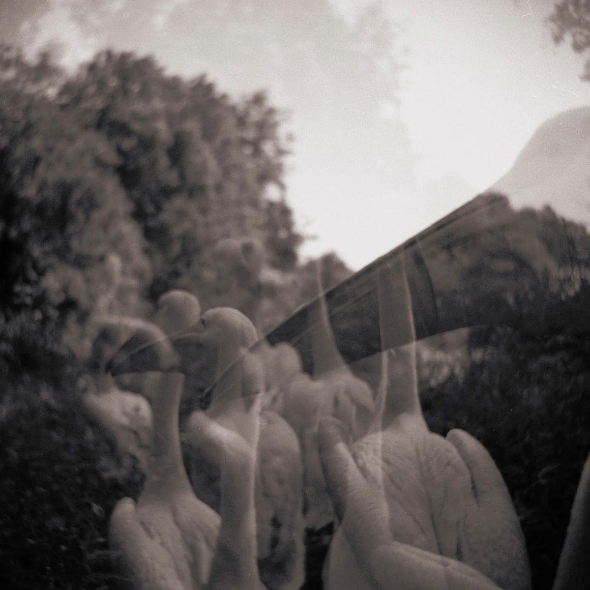 Come On Everybody, Let's Do Nothing!