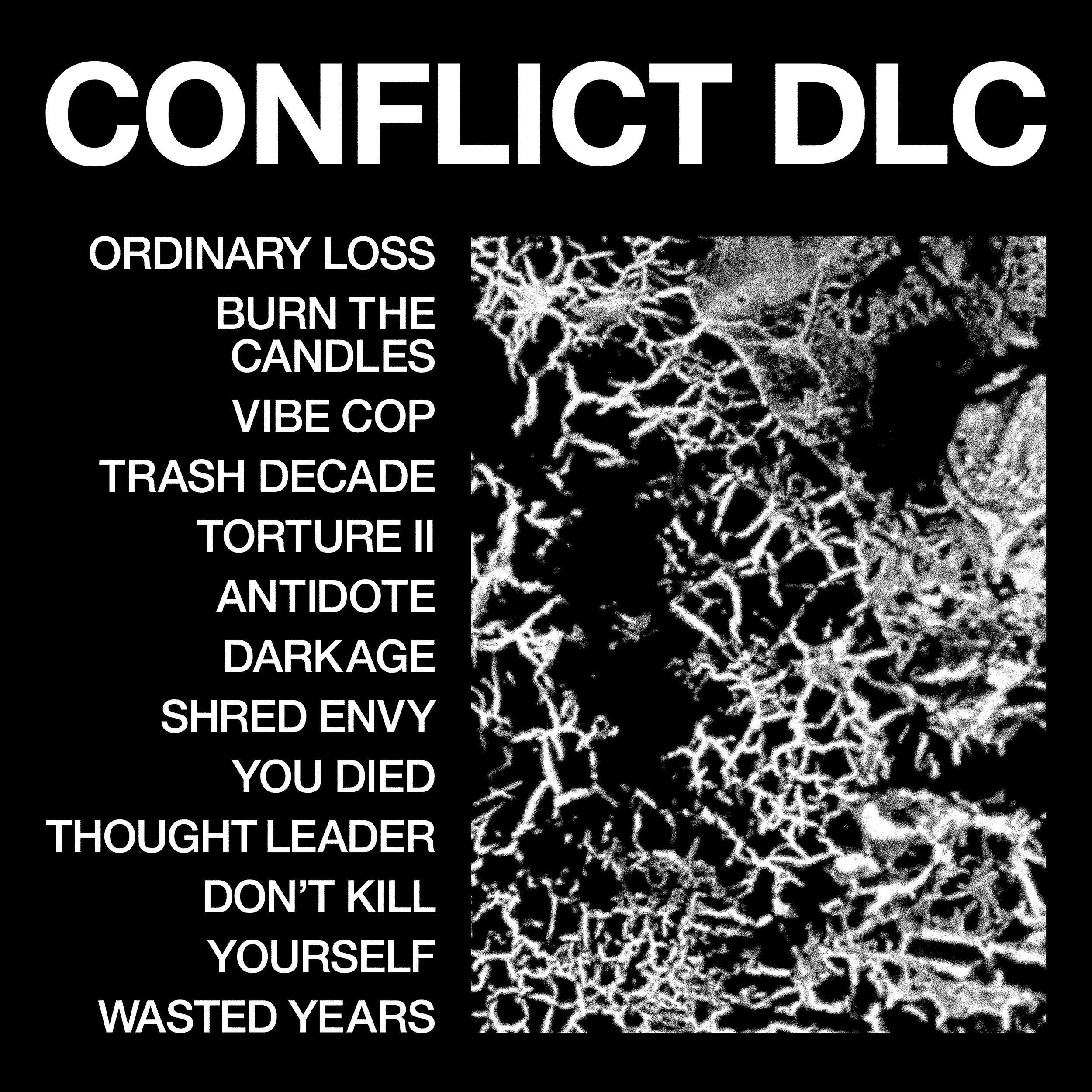 Conflict DLC - Image 3