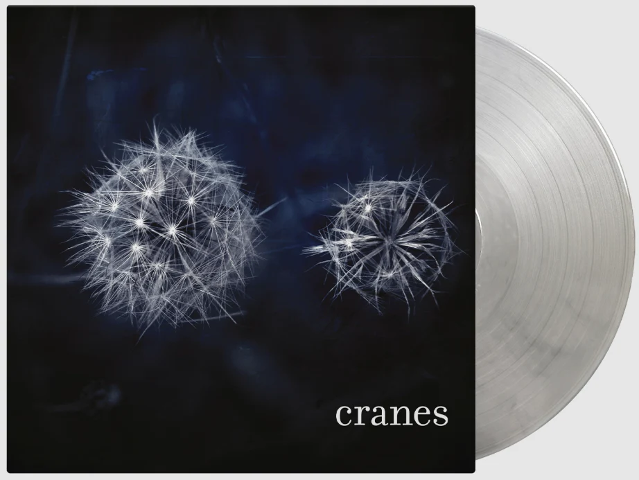 Cranes - Image 2
