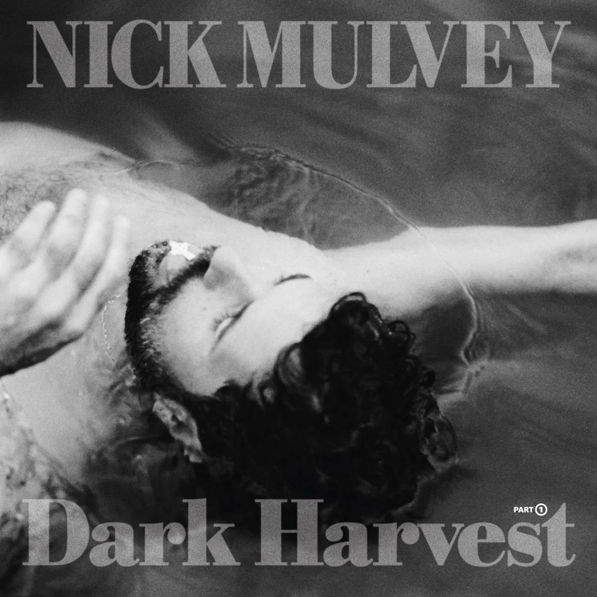 Dark Harvest Pt 1 - Image 3