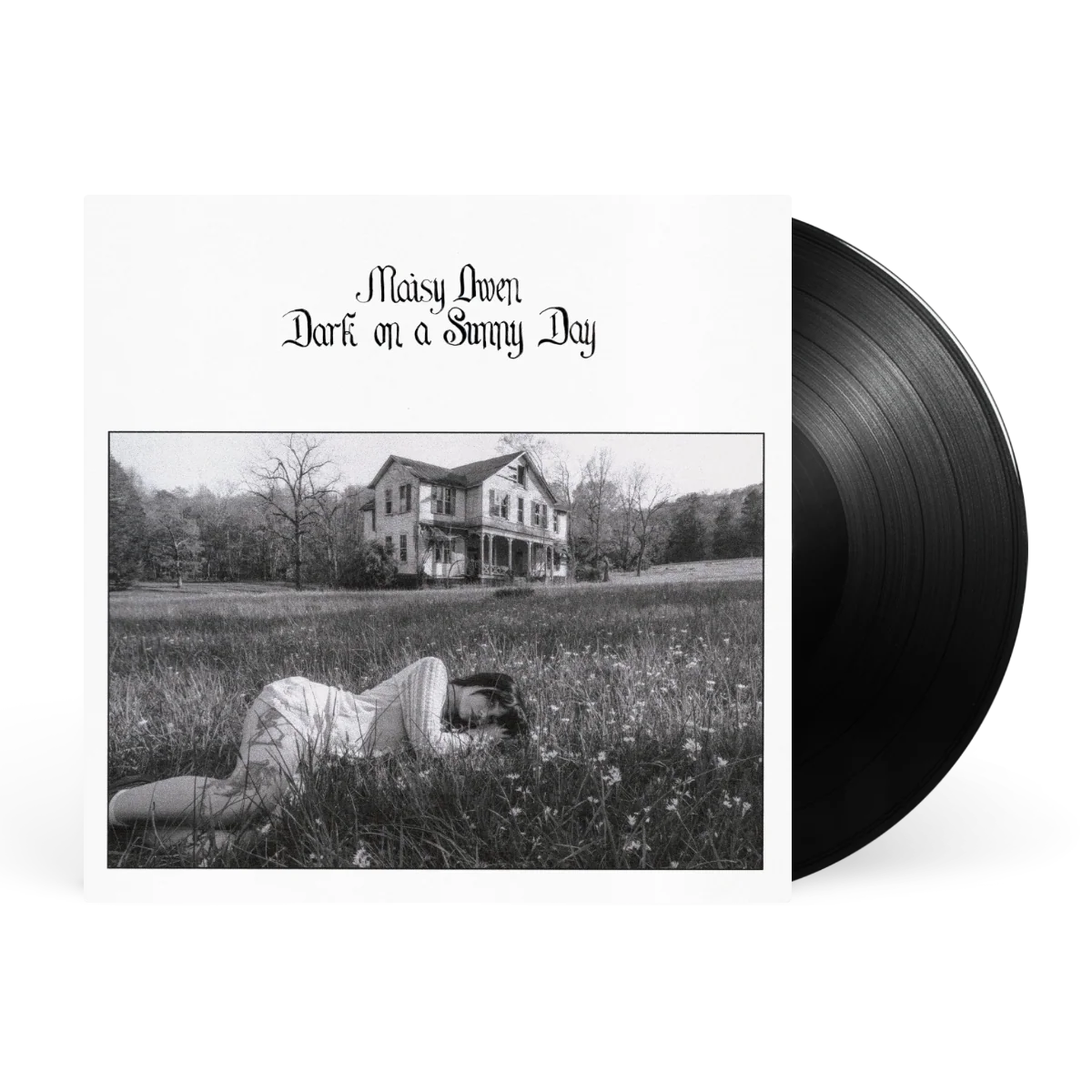 Dark on a Sunny Day - Image 2
