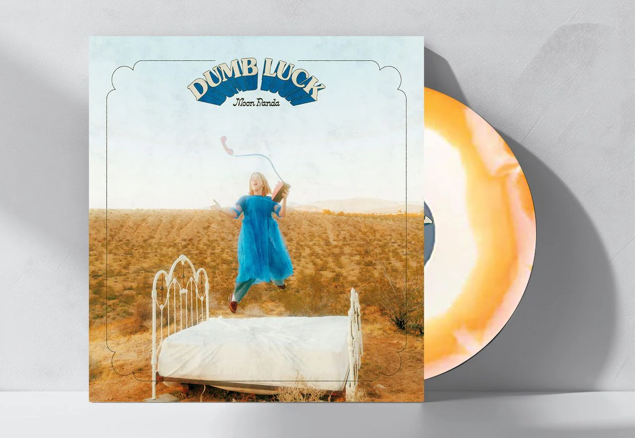 Dumb Luck - Image 2