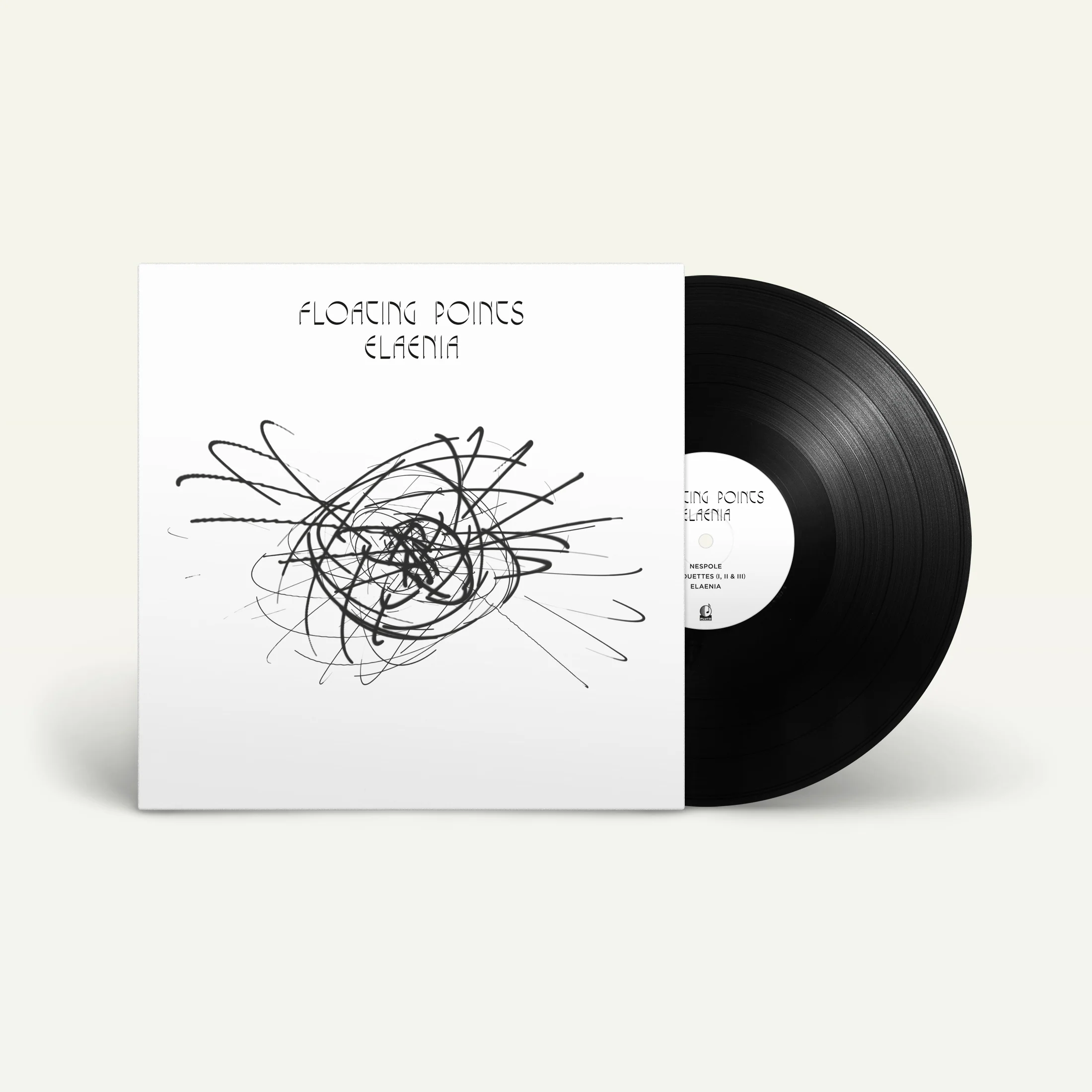 Elaenia - Image 2