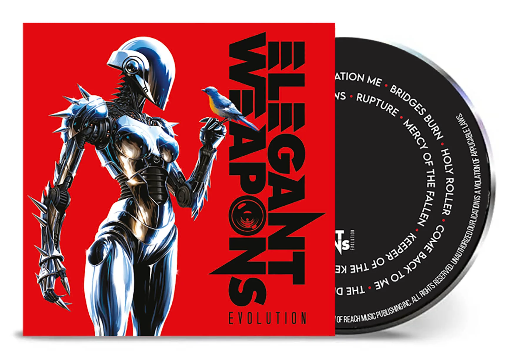 Evolution - Image 2