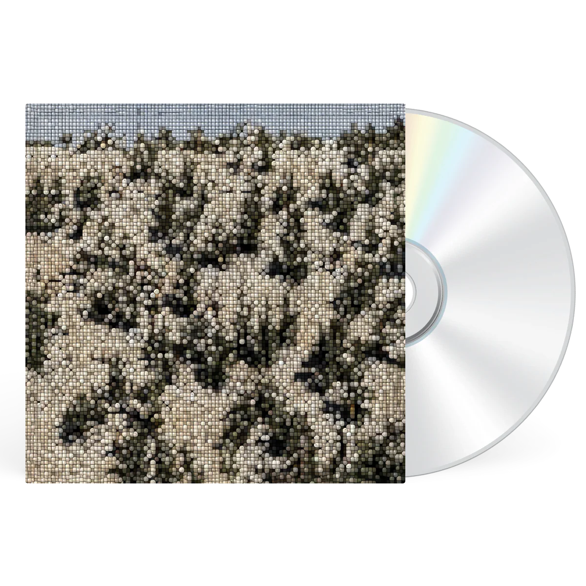 Extra Stars - Image 3