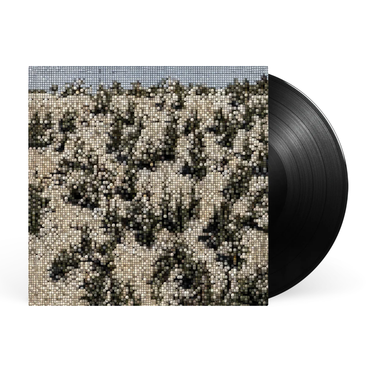 Extra Stars - Image 4